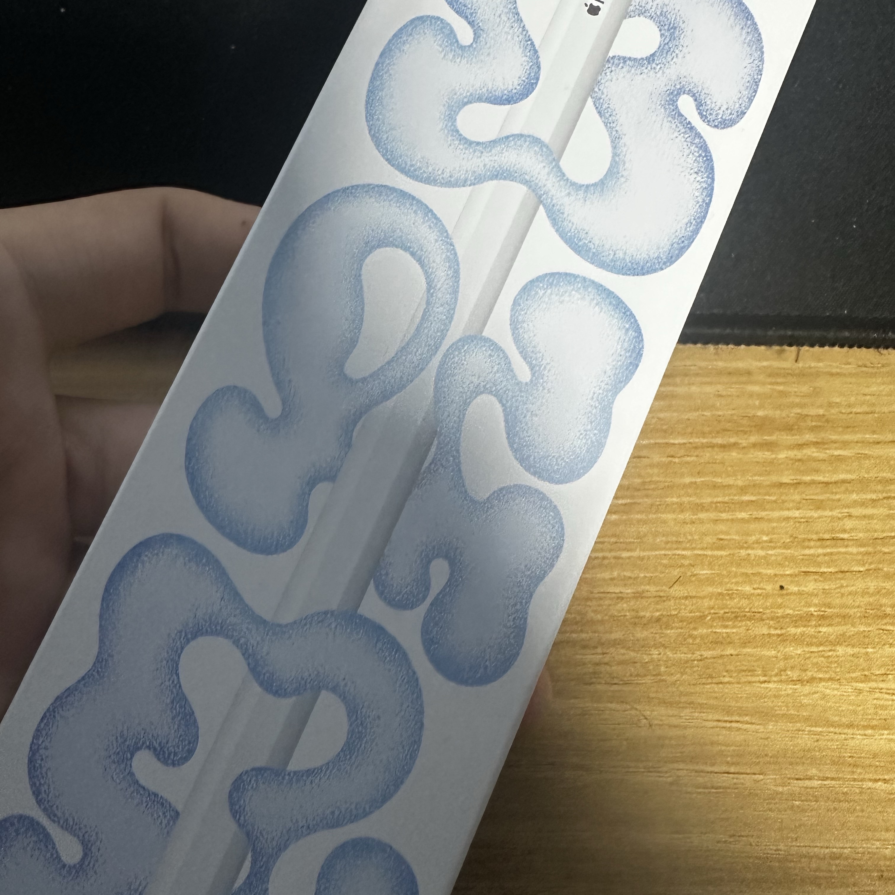 Apple Pencil Pro (Korean Ver.) 착용 스타일