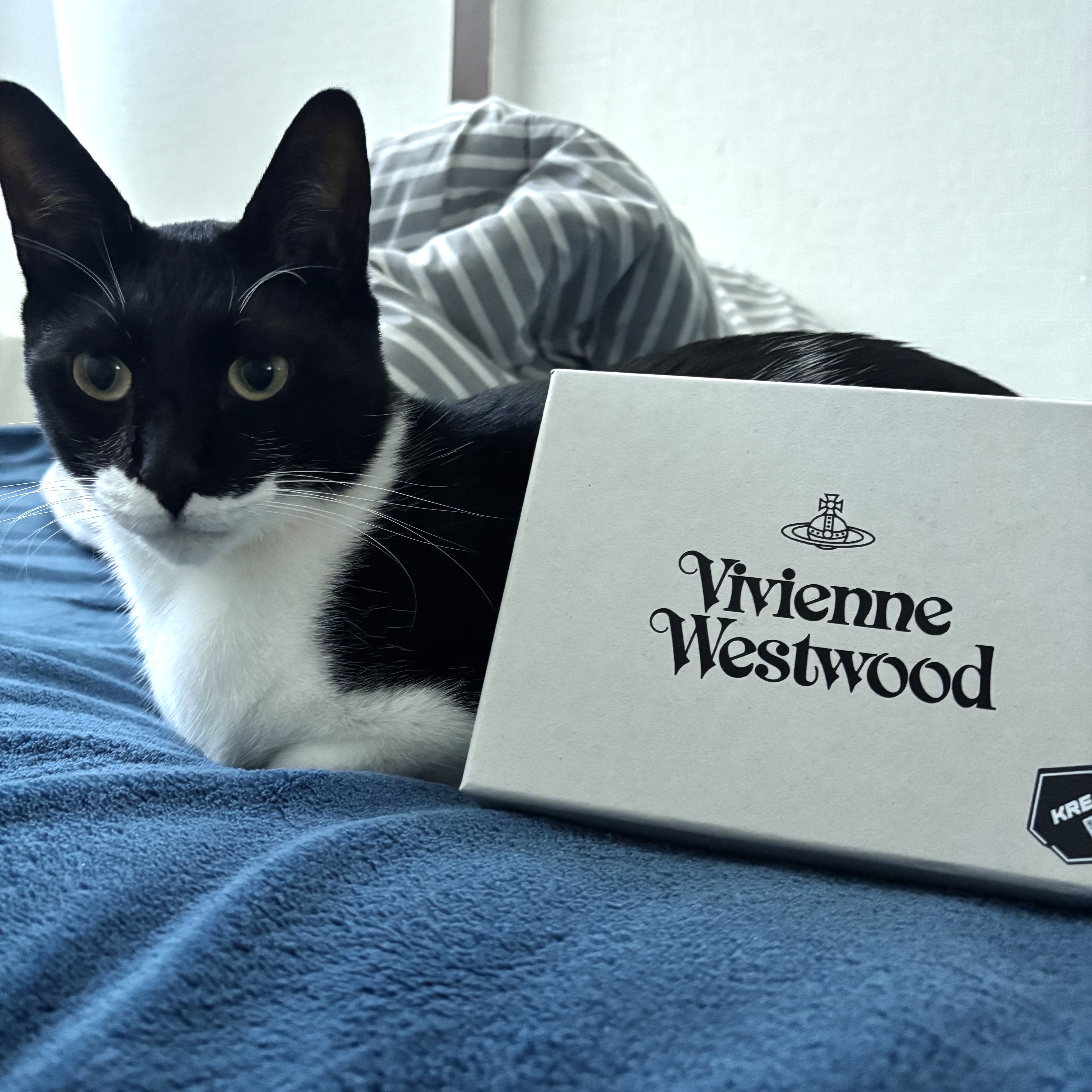Vivienne Westwood Nappa Leather Half Moon Card Holder Black 착용 스타일 - 1