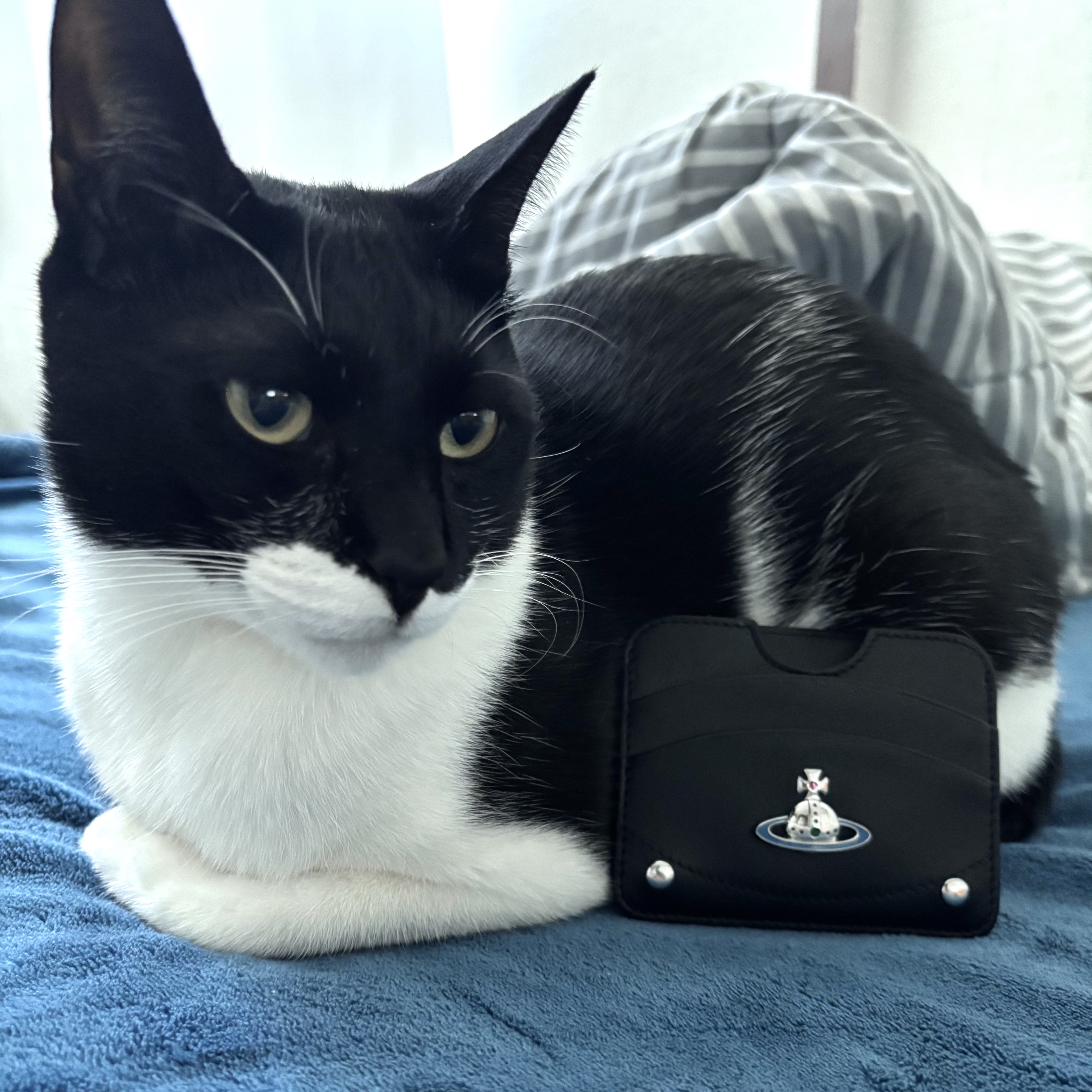 Vivienne Westwood Nappa Leather Half Moon Card Holder Black 착용 스타일 - 2