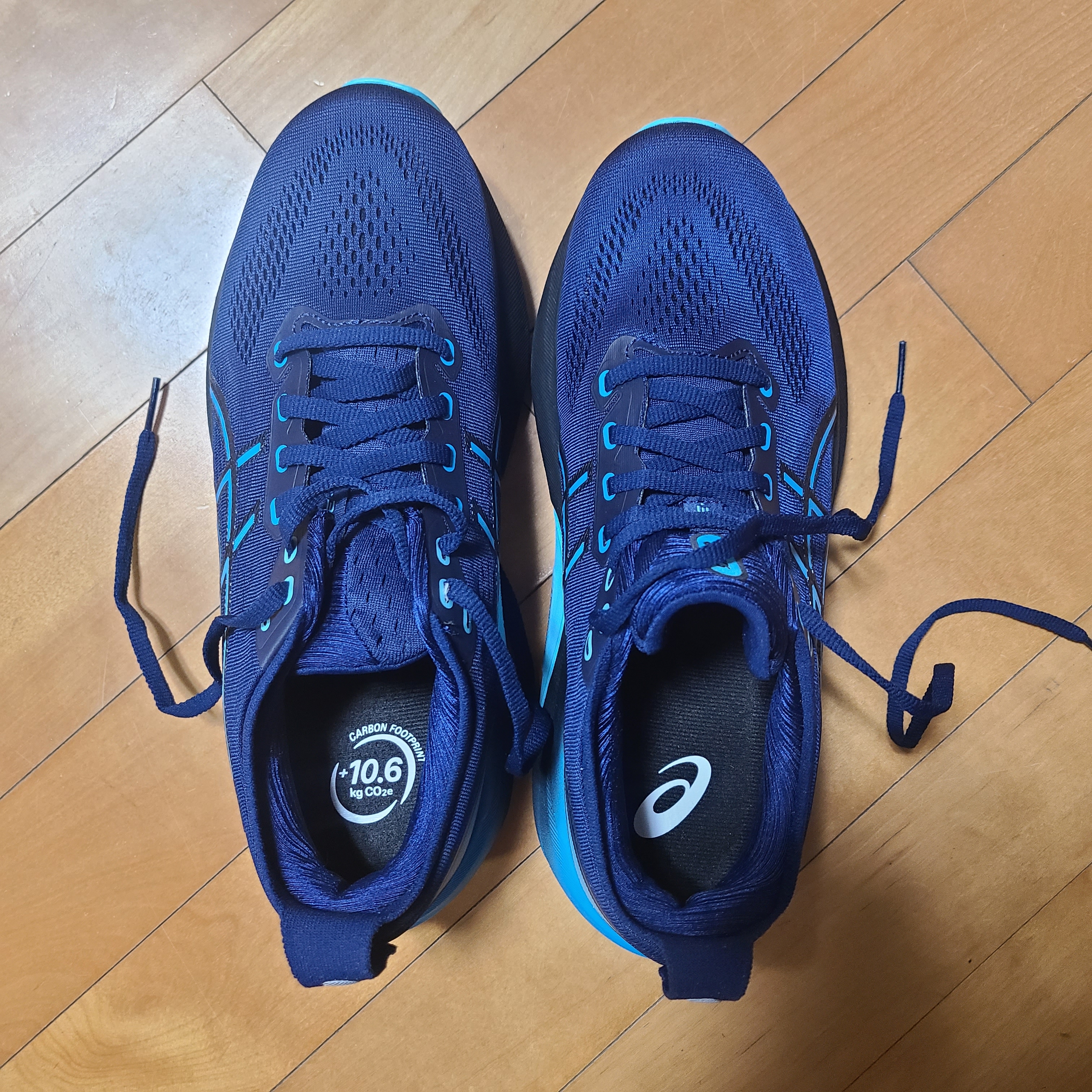 Asics Gel-Kayano 31 Blue Expanse Digital Aqua - 2E Wide 착용 스타일 - 1
