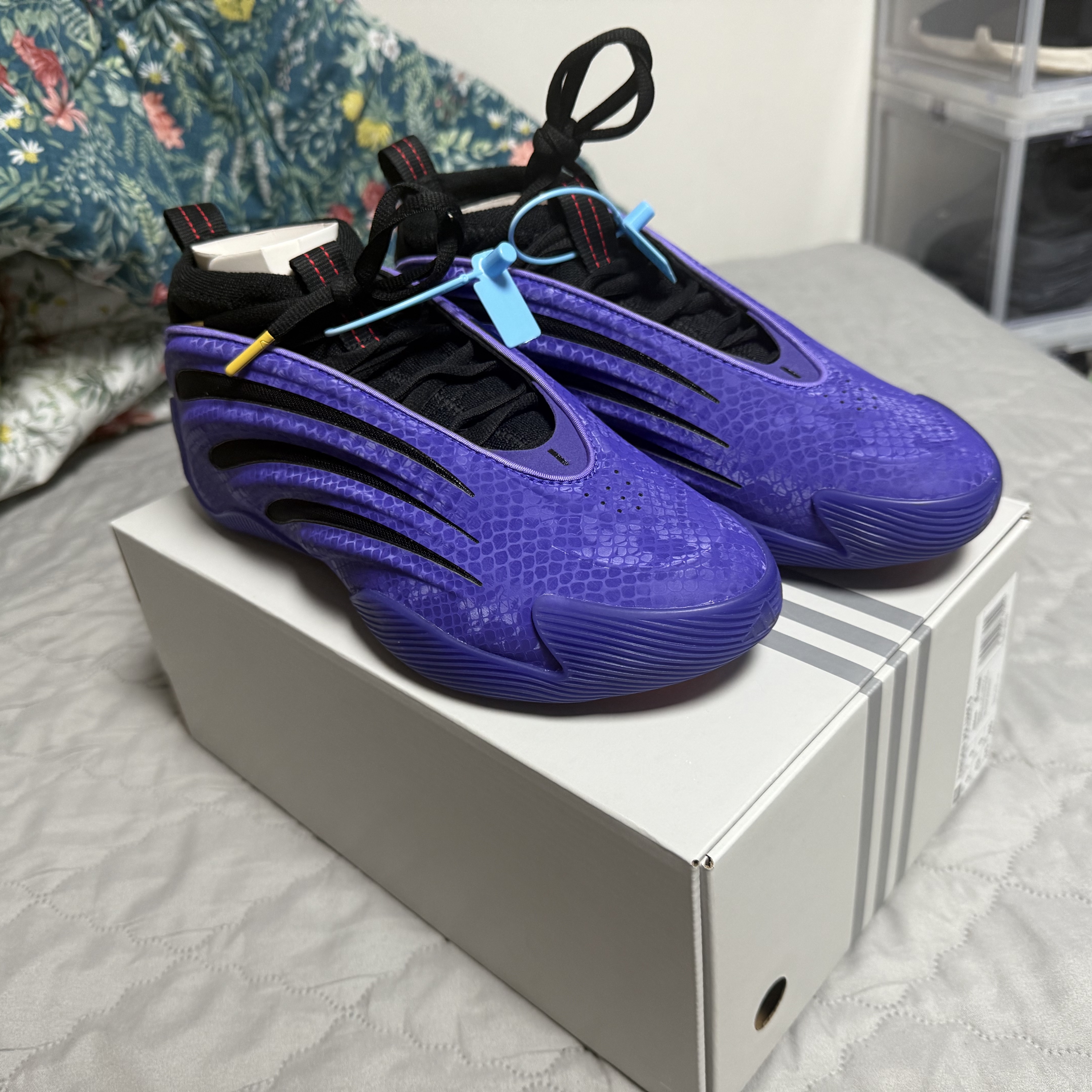 Hoka Bondi 9 Black - Wide, Nike Kobe 6 Protro Reverse 착용 스타일 - 4