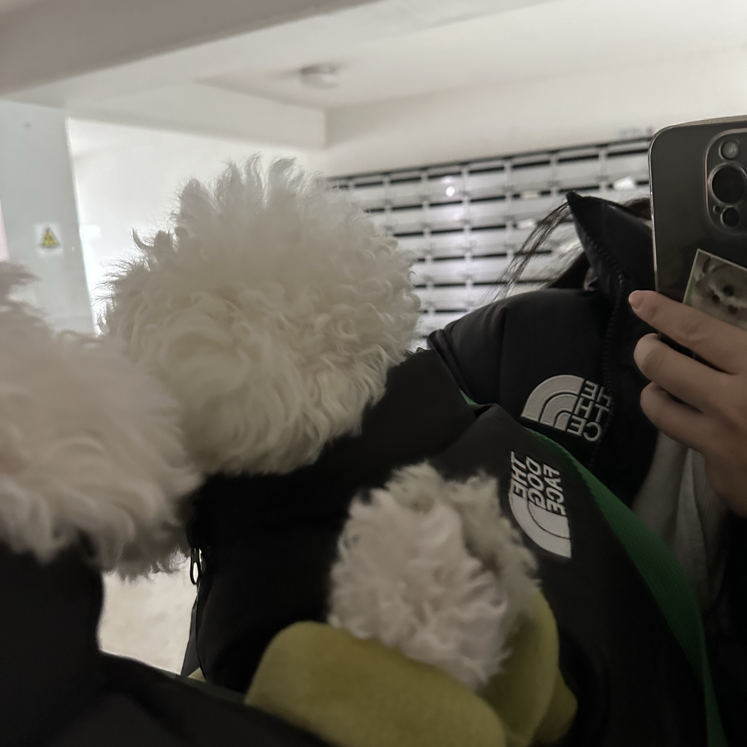 The North Face 1996 Eco Nuptse Jacket Black 착용 스타일 - 1