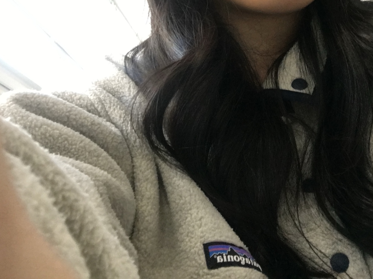 Patagonia Synchilla Snap-T Fleece Pullover Oatmeal Heather 착용 스타일 - 3