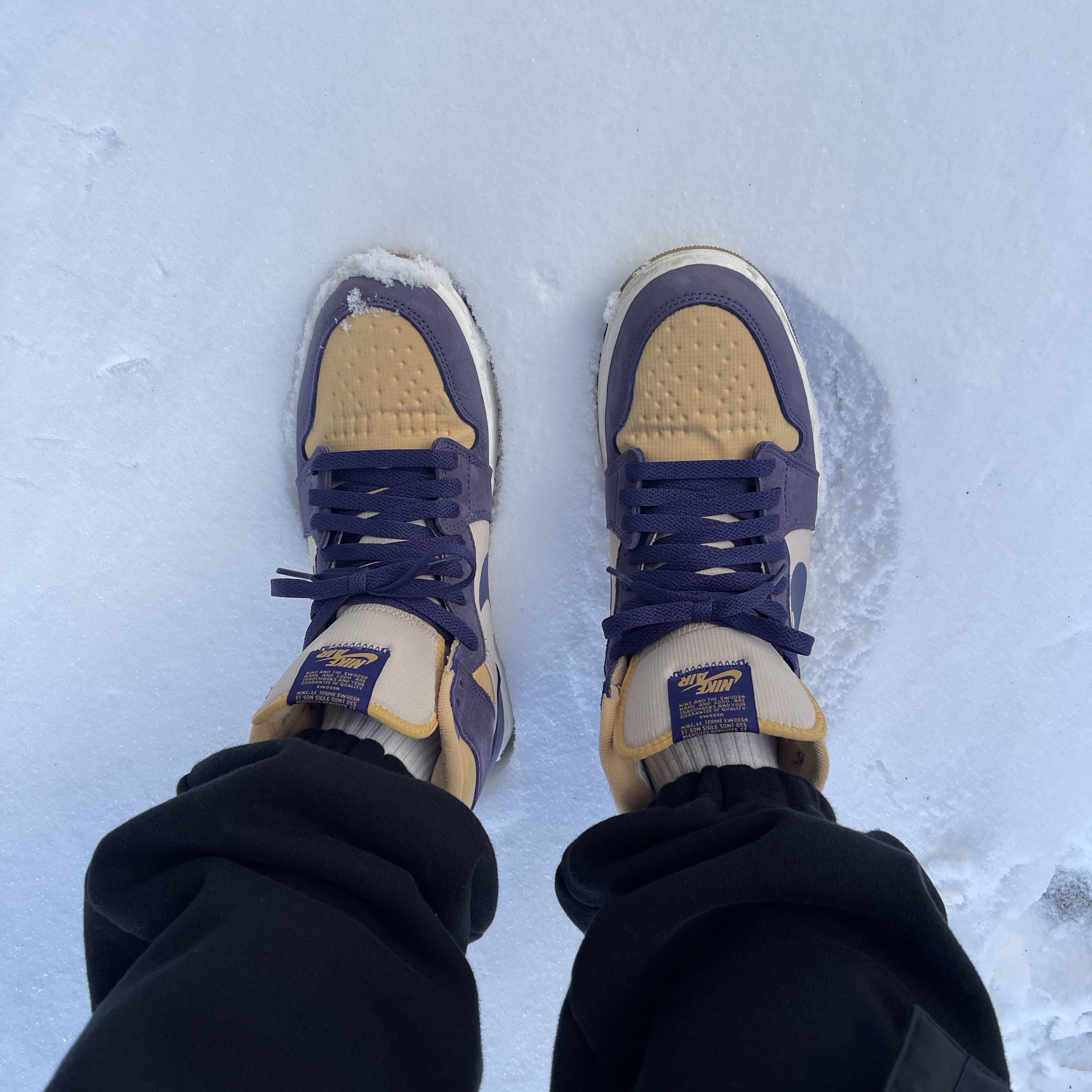 Jordan 1 Element Gore-Tex Sky J Purple 착용 스타일