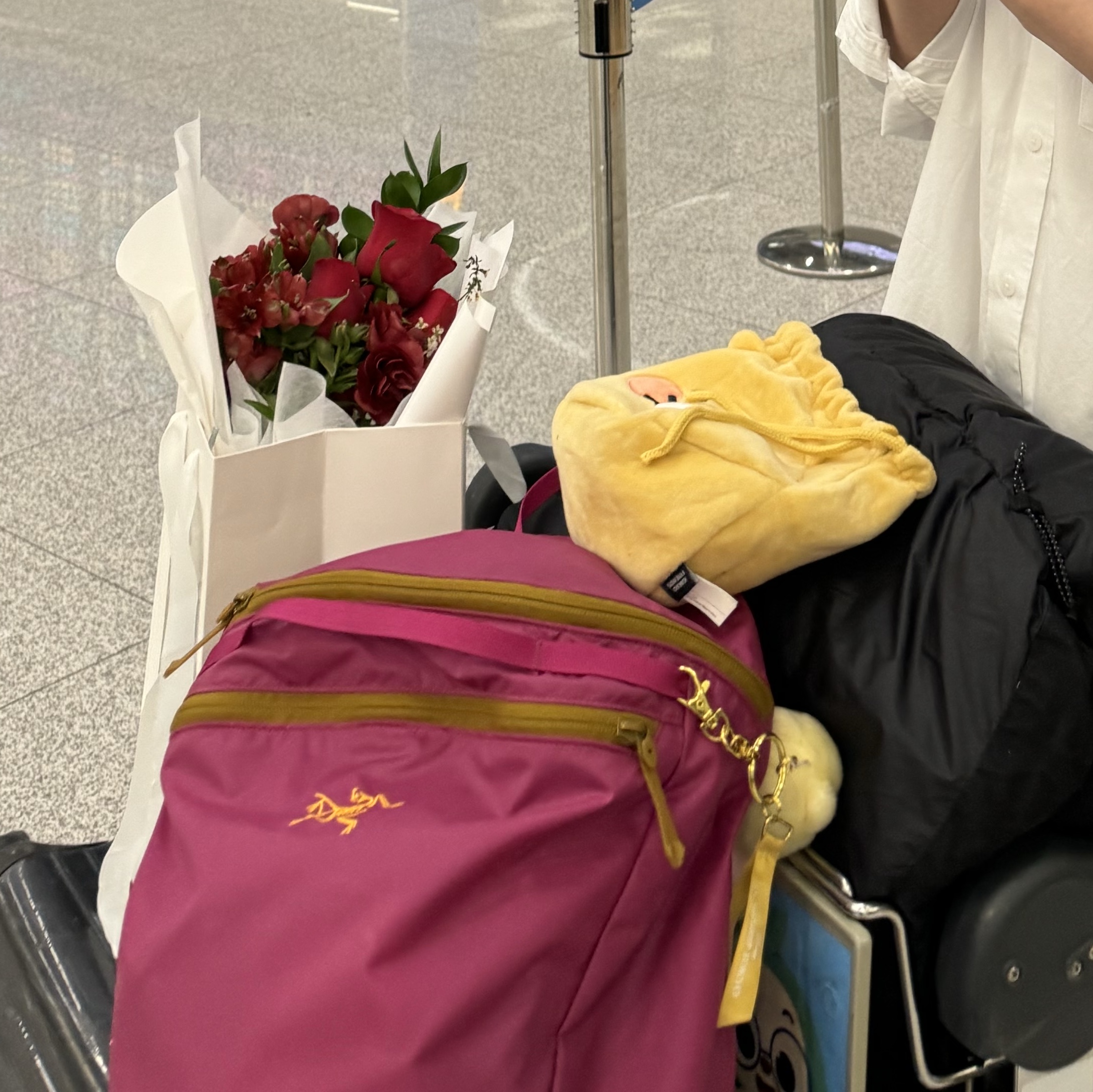 Arc'teryx Heliad 15 Backpack Amaranthus 착용 스타일
