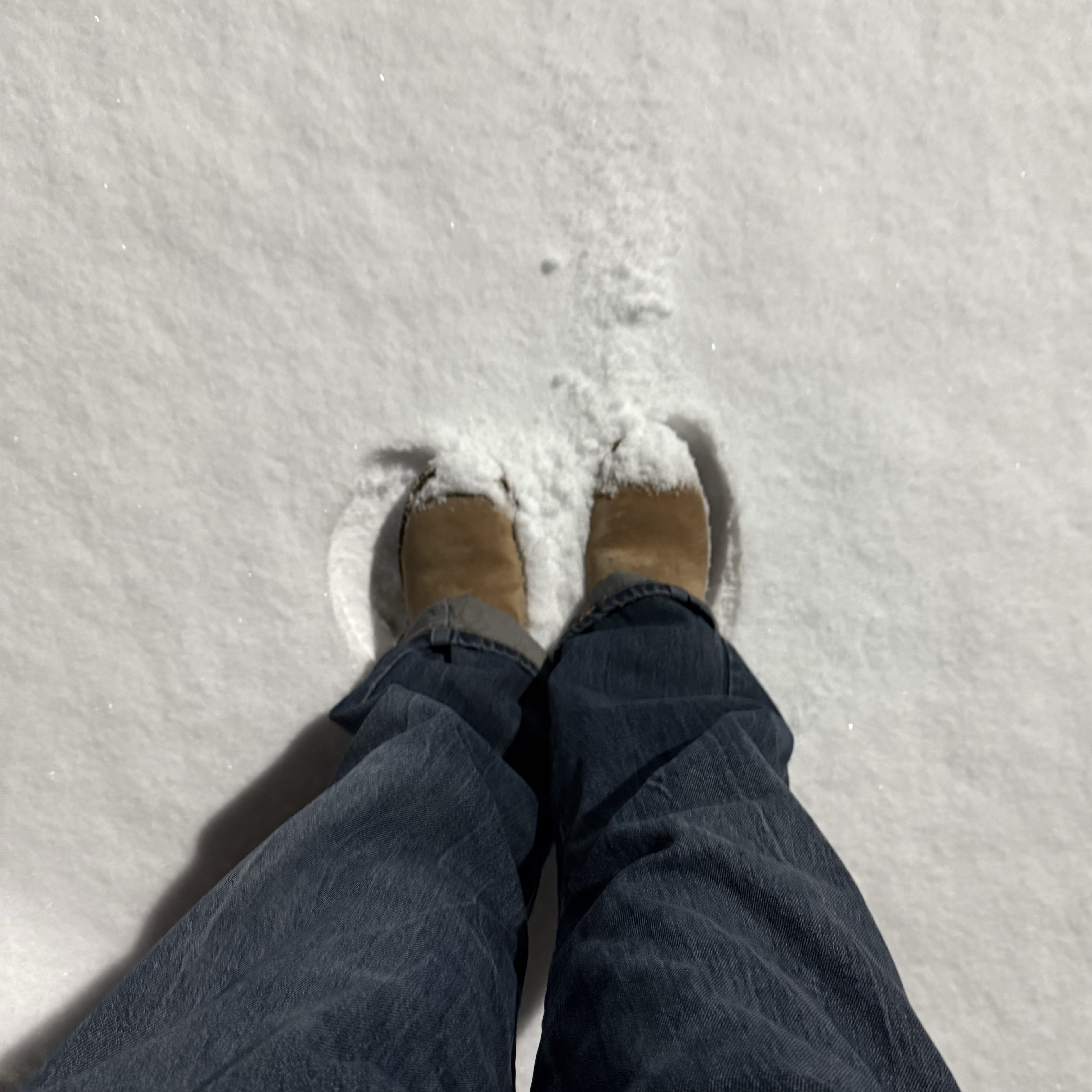 (W) UGG Classic Mini II Boots Chestnut 착용 스타일
