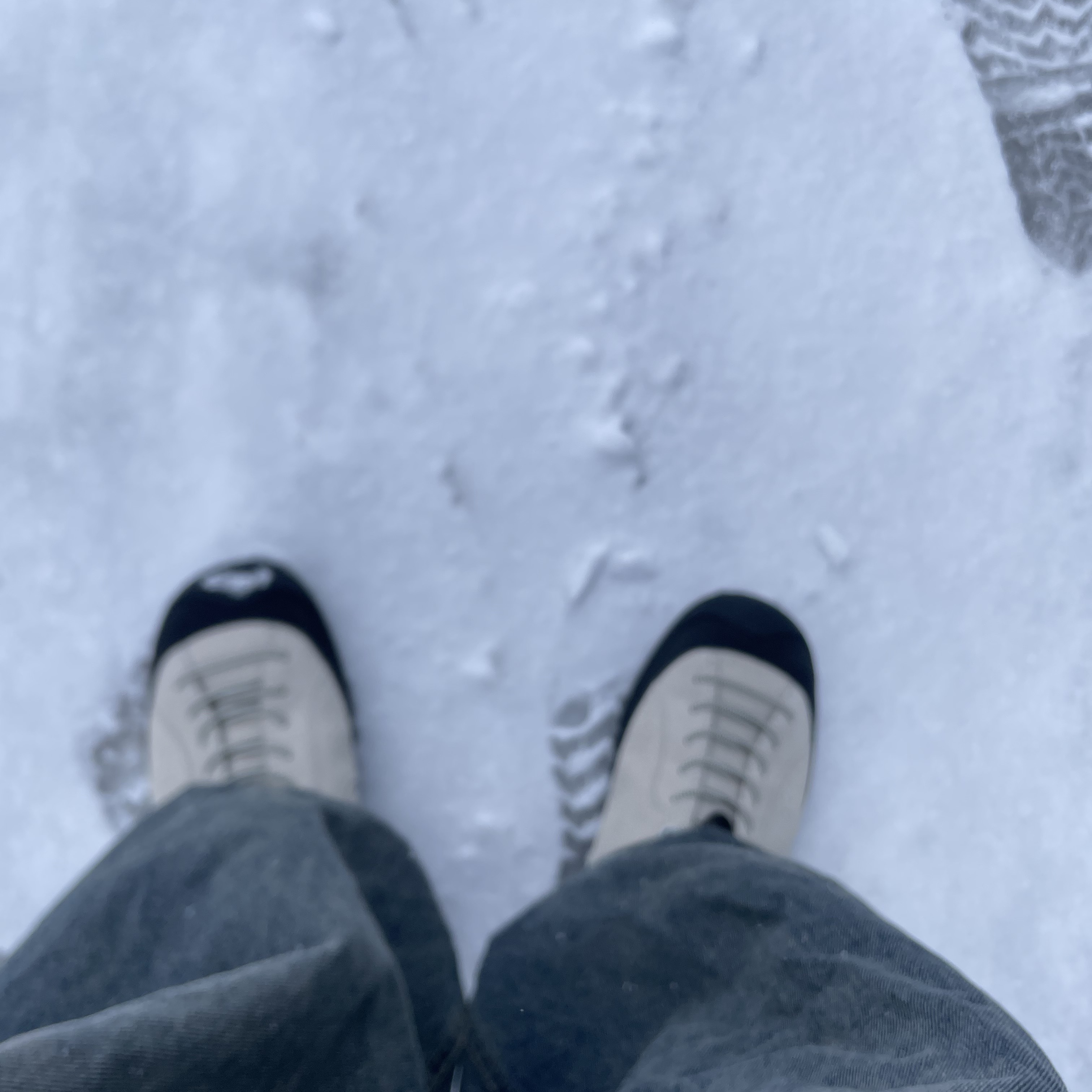 Keen Jasper Rocks SP Sneaker Birch Black 착용 스타일