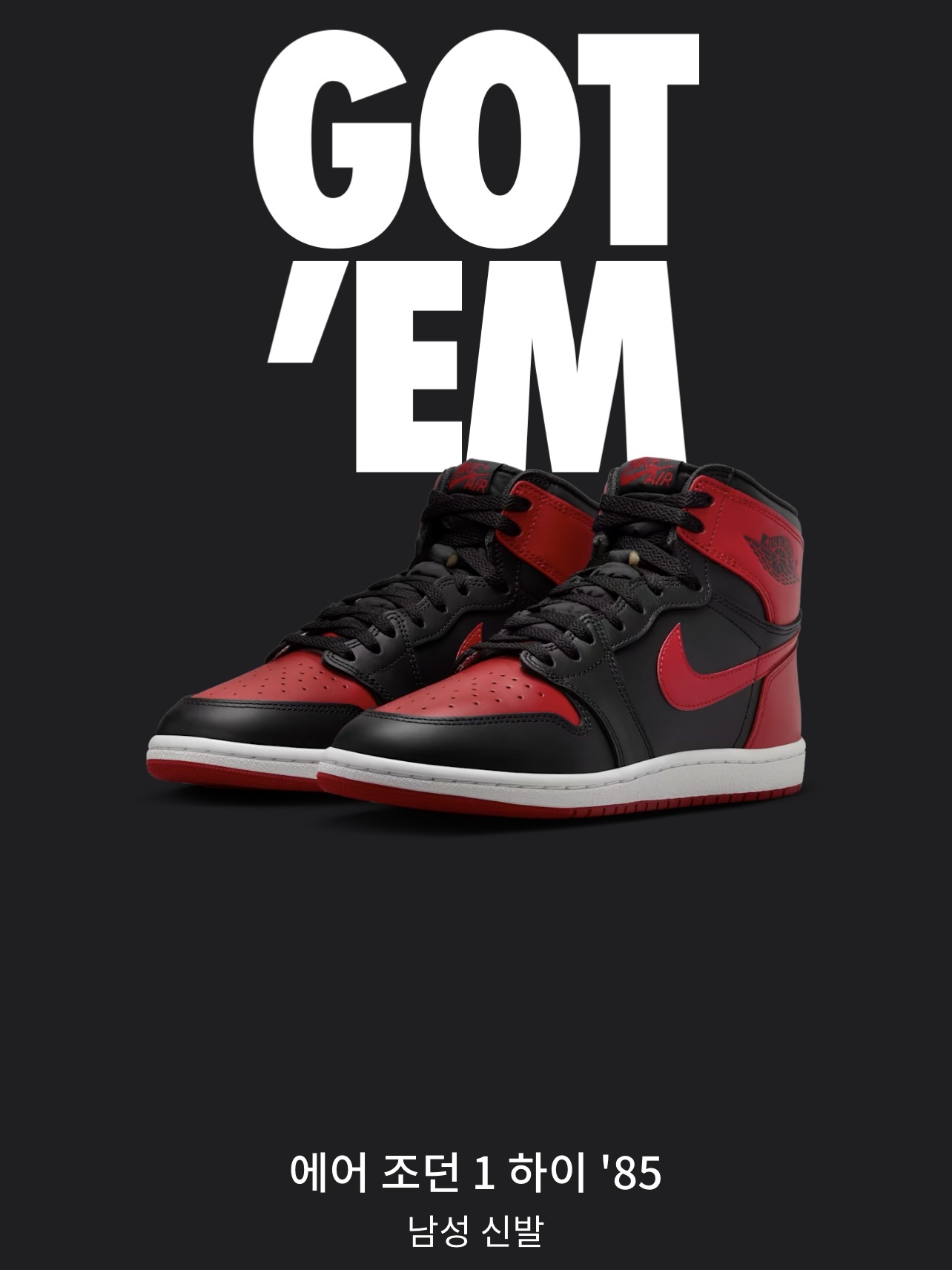 Jordan 1 High 85 Bred, Jordan 1 x Tune High 85 Bred (Special Package) 착용 스타일 - 5