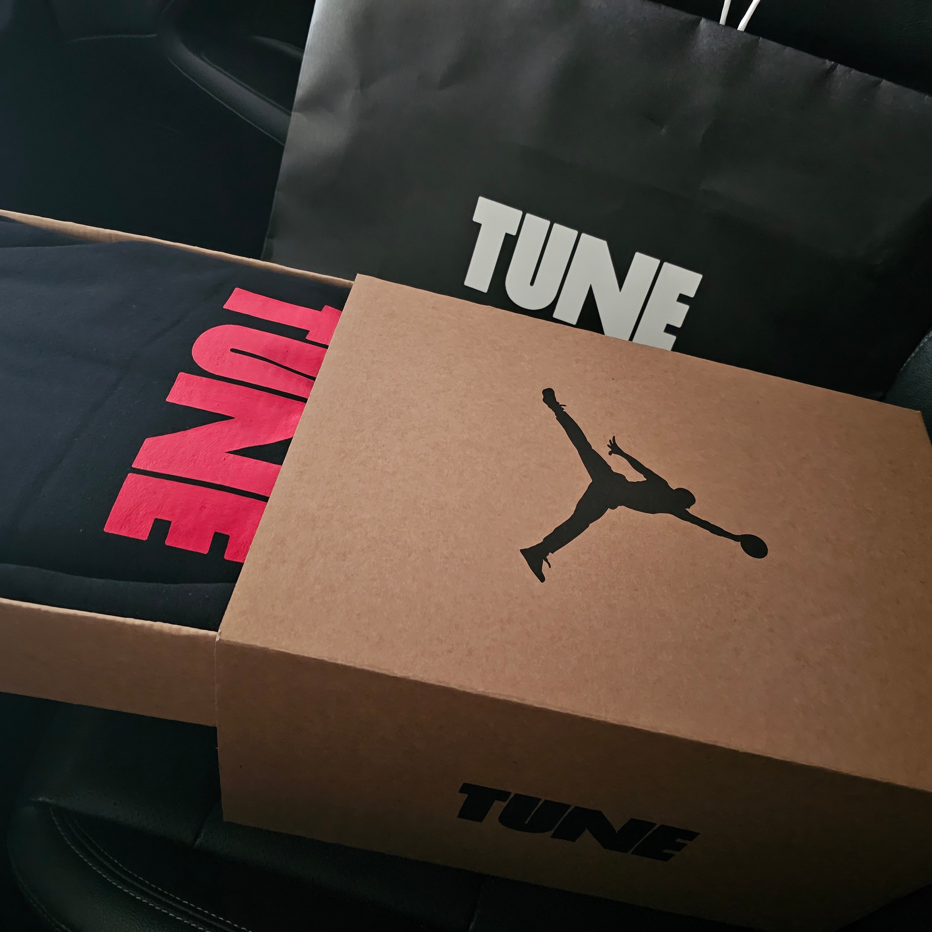 Jordan 1 x Tune High 85 Bred (Special Package), FRANKLY Velour Washable Home Office Shoes Pink 착용 스타일 - 3