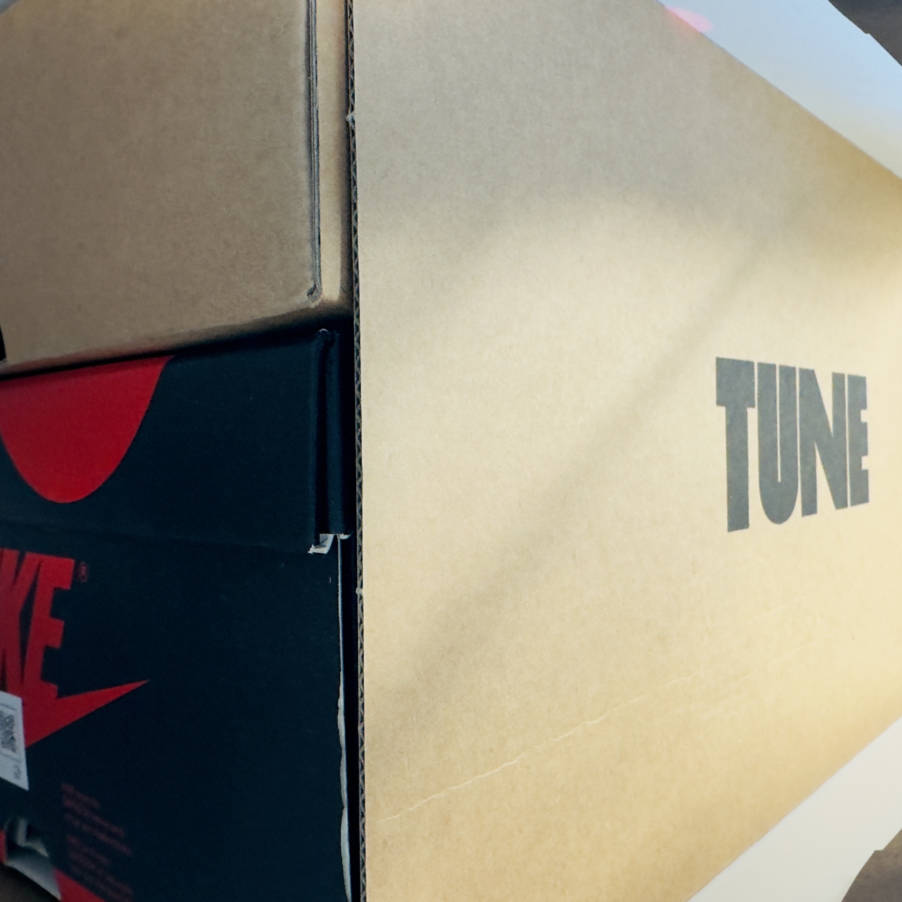 Jordan 1 High 85 Bred, Jordan 1 x Tune High 85 Bred (Special Package) 착용 스타일 - 4