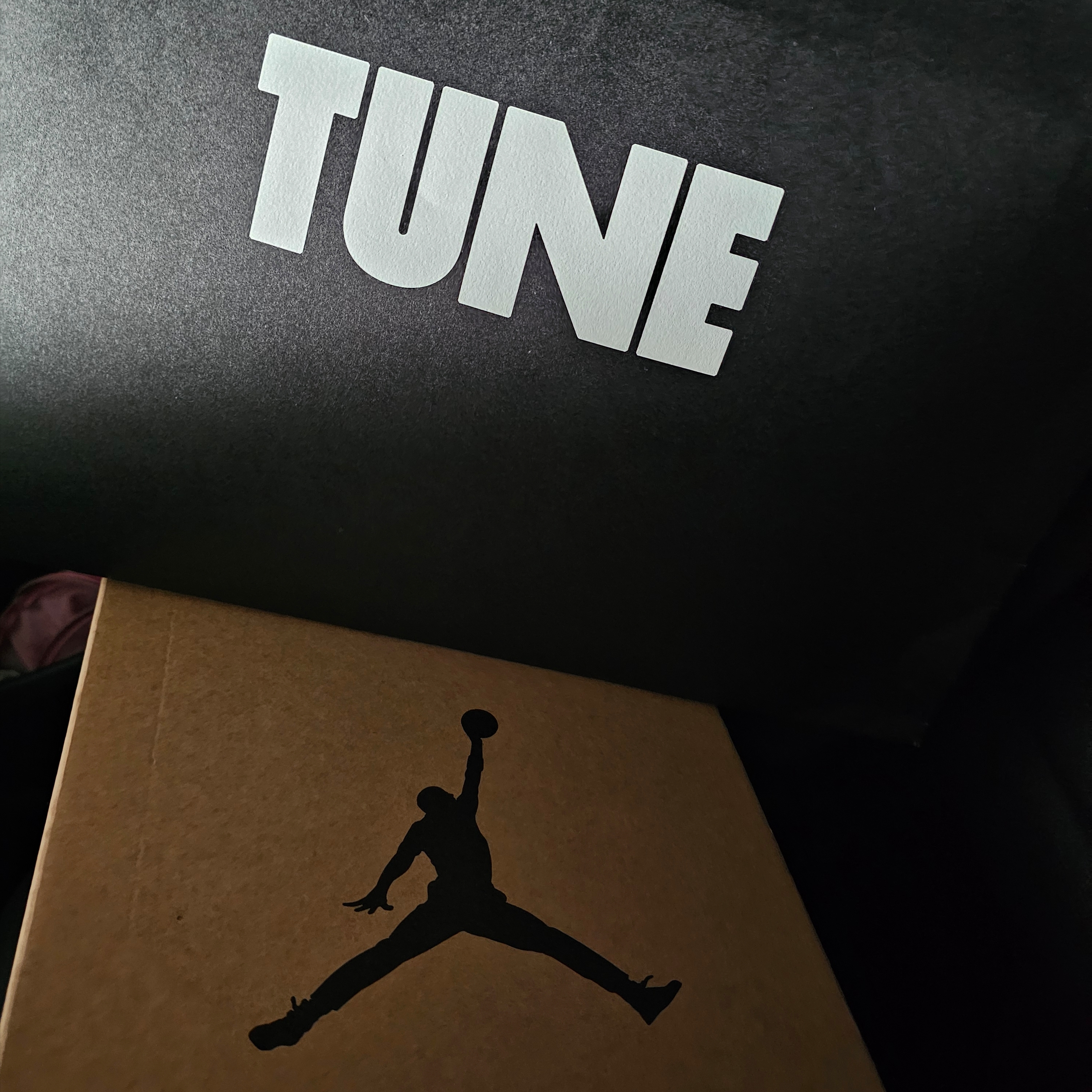 Jordan 1 x Tune High 85 Bred (Special Package), FRANKLY Velour Washable Home Office Shoes Pink 착용 스타일 - 1