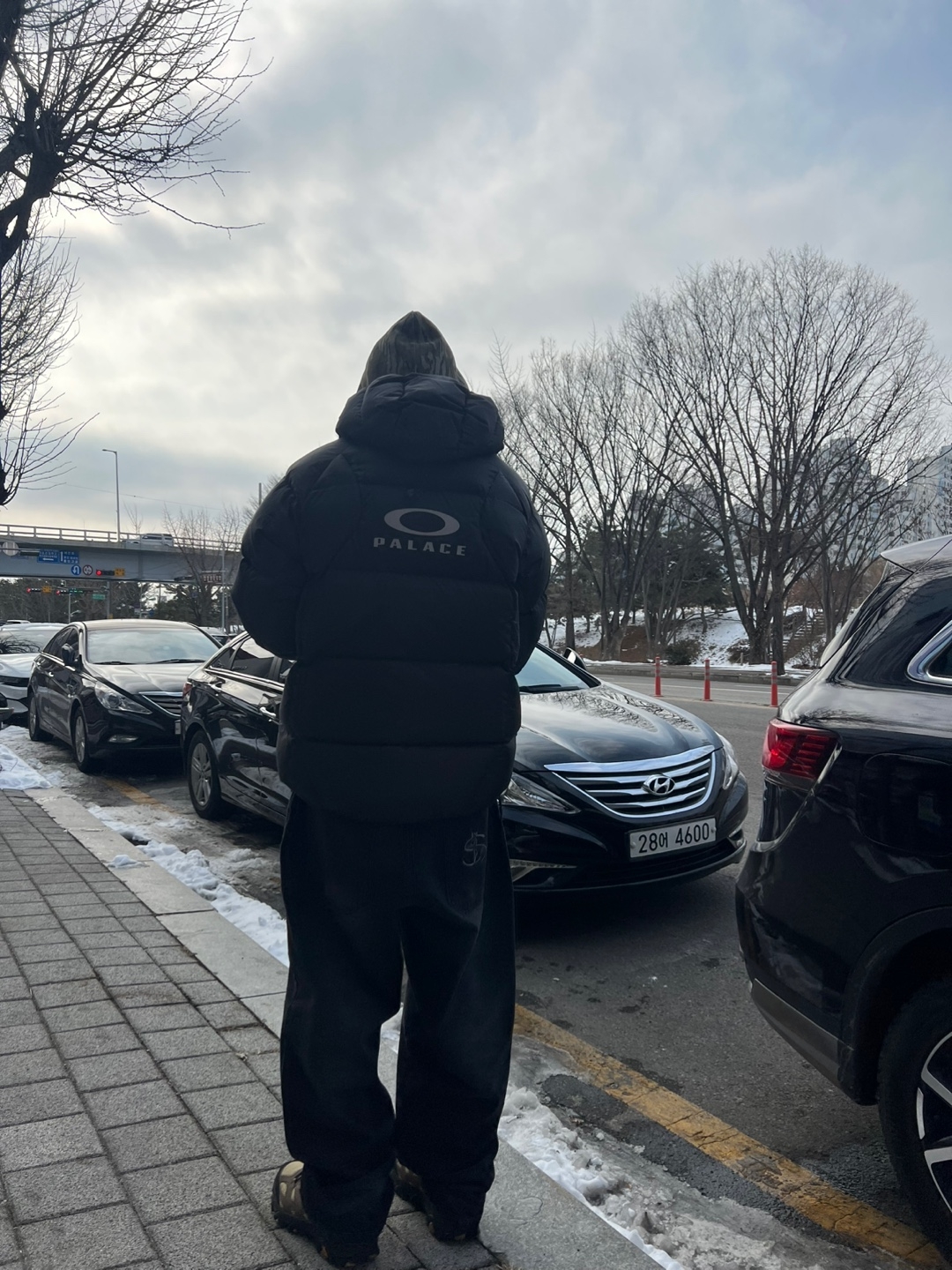 Palace x Oakley Puffa Black - 24FW 착용 스타일