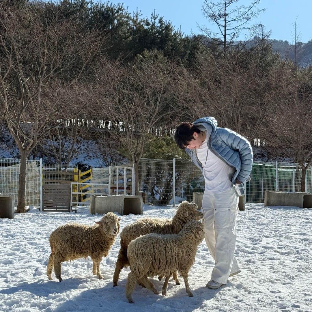 Sansan Gear Suffix Puffer Jacket Sky Blue - 24FW 착용 스타일