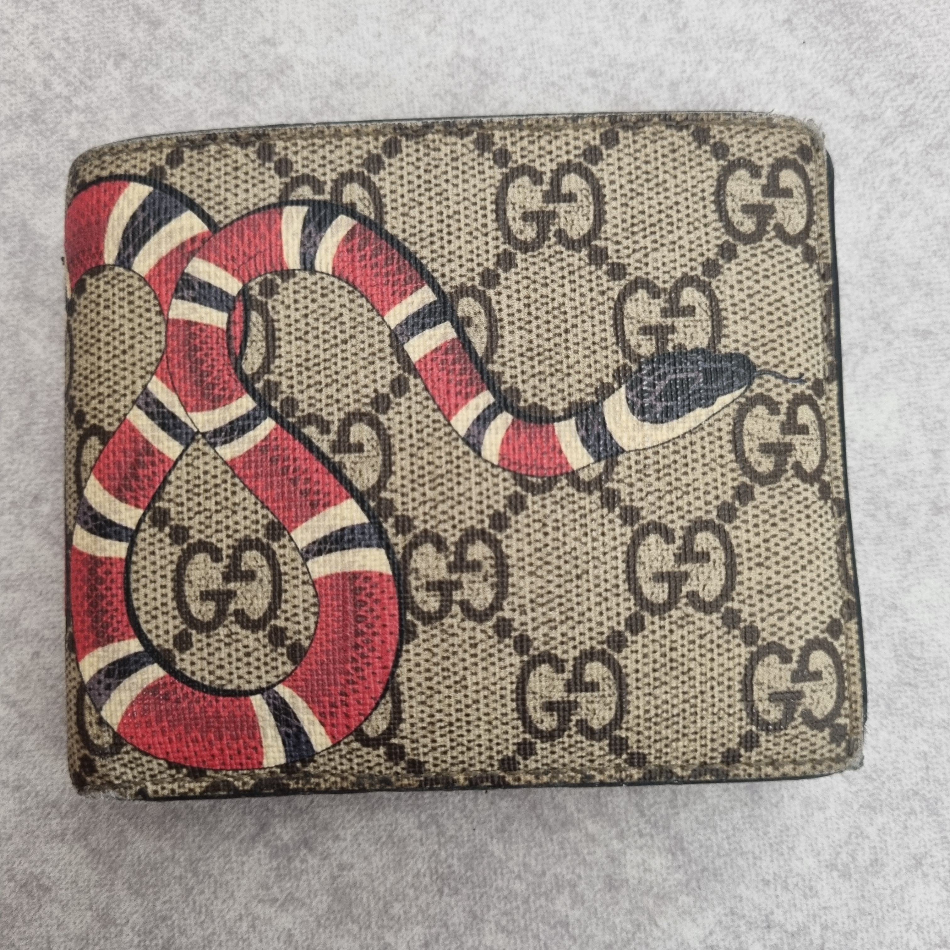Gucci Kingsnake Print GG Supreme Wallet 착용 스타일