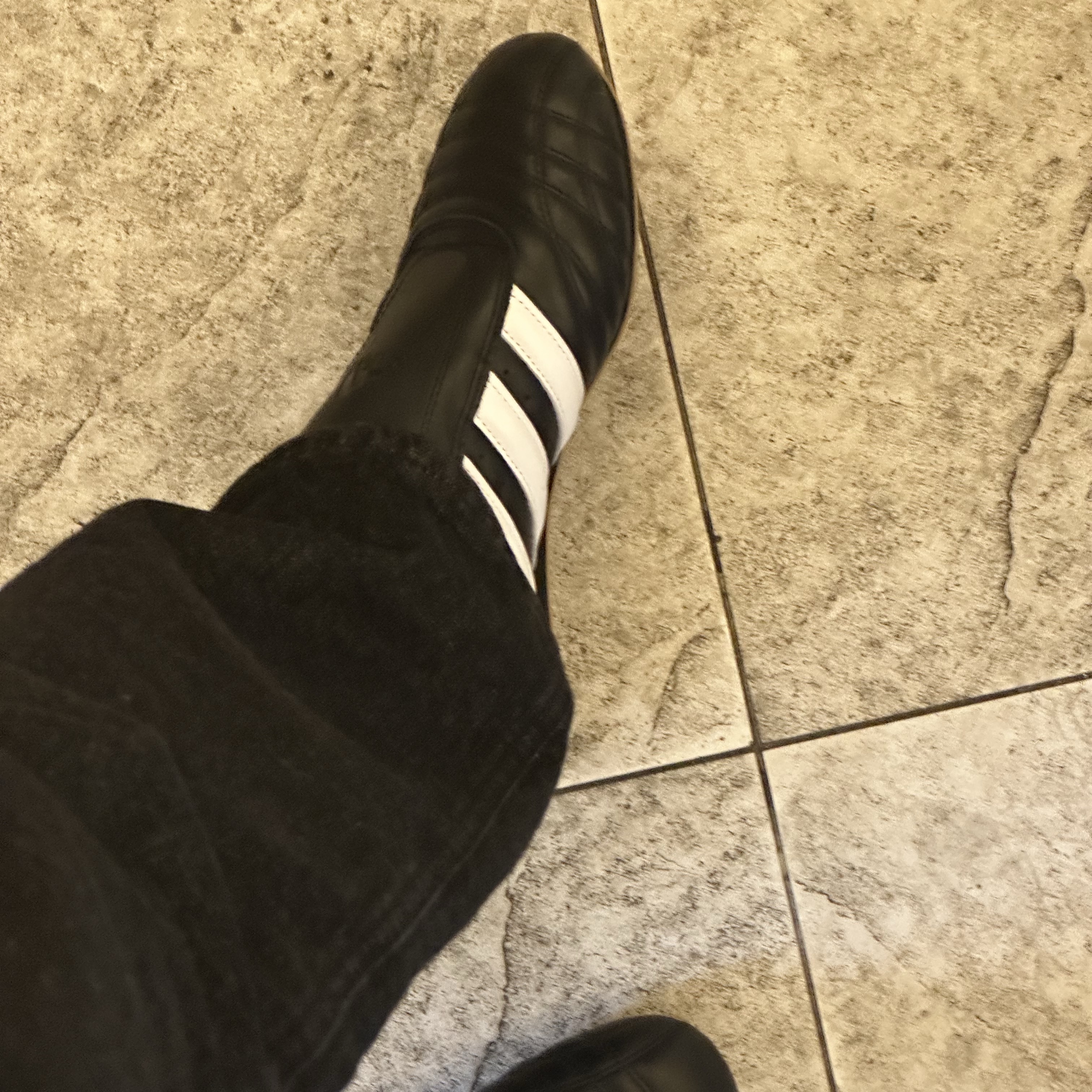 (W) Adidas Taekwondo Core Black Cloud White 착용 스타일