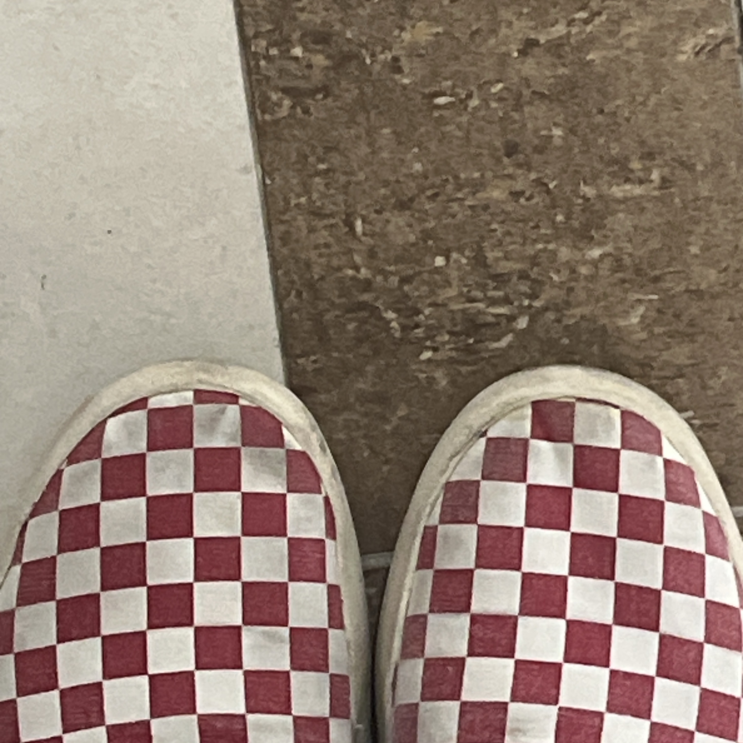 Vans ComfyCush One Checkerboard Racing Red Marshmallow 착용 스타일