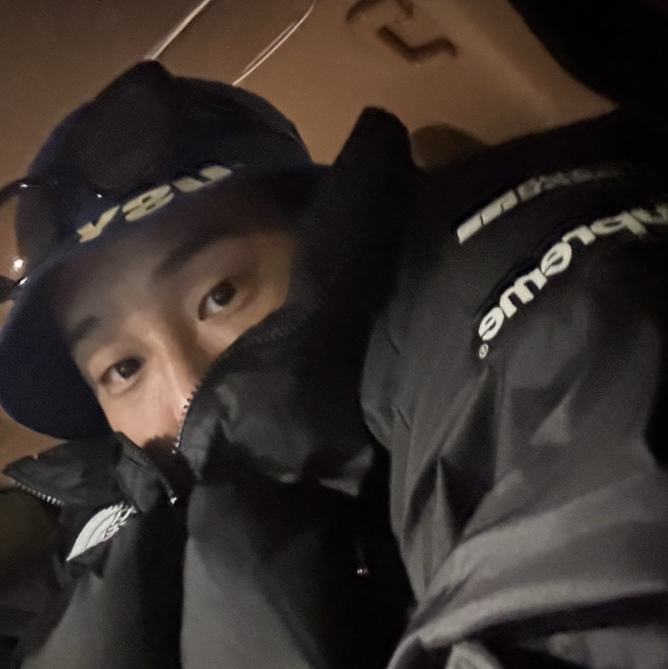 Supreme x The North Face Split Nuptse Jacket Black - 24SS 착용 스타일