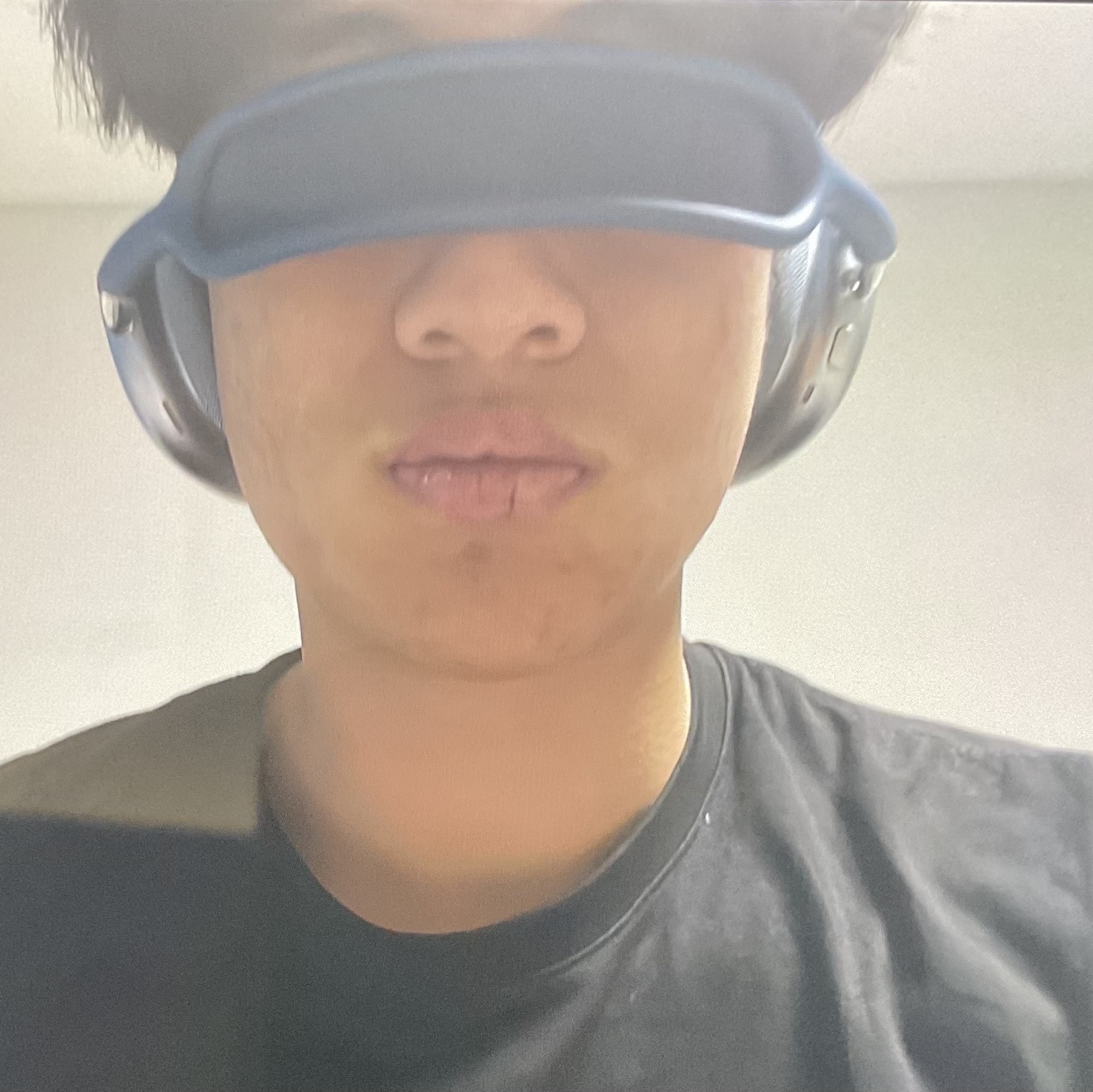 Apple AirPods Max Lightning Sky Blue (Korean Ver.), Lego Harry Potter Hogwarts Castle and Grounds 착용 스타일