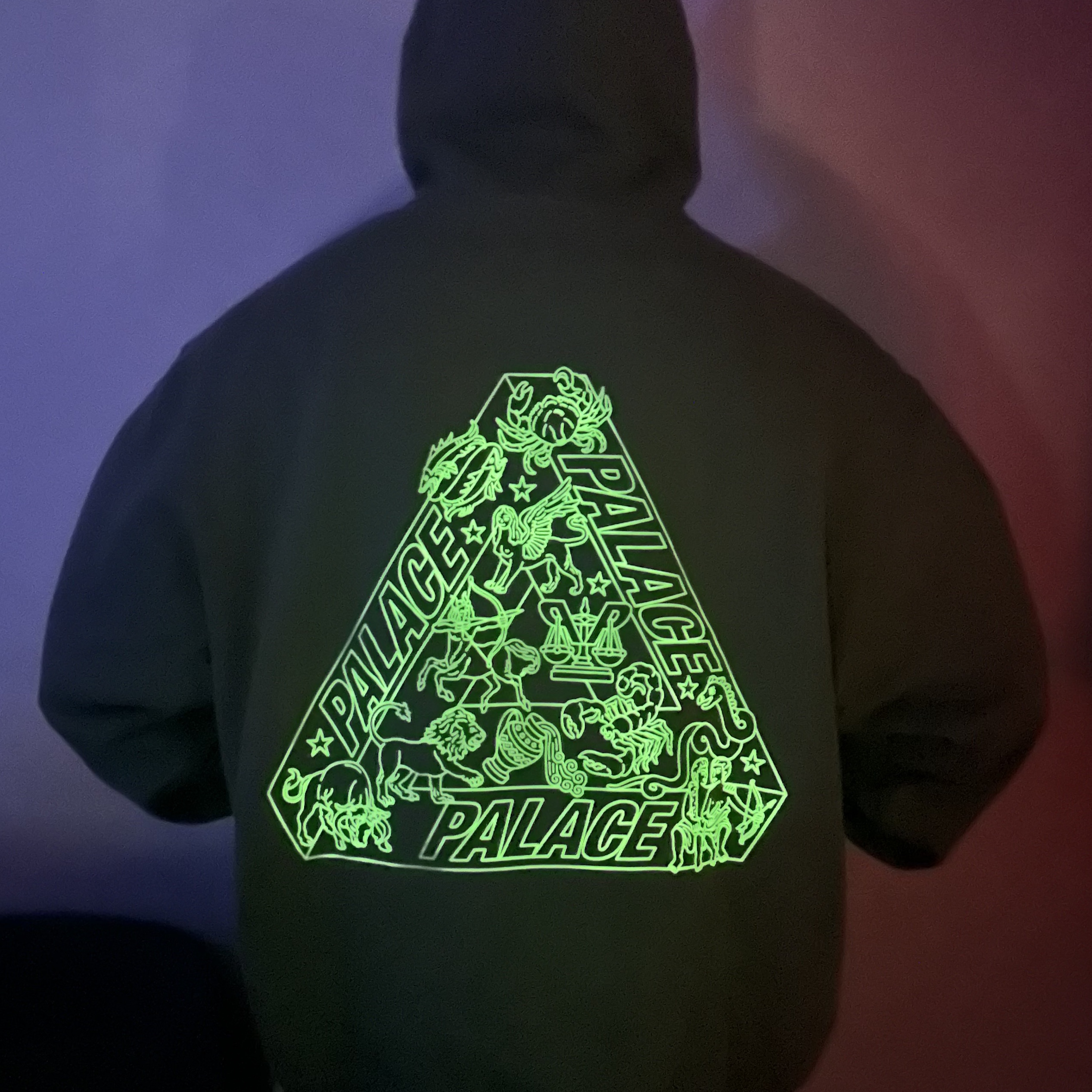 Palace Zodiac Tri-Ferg Hood The Deep Green - 25SS 착용 스타일