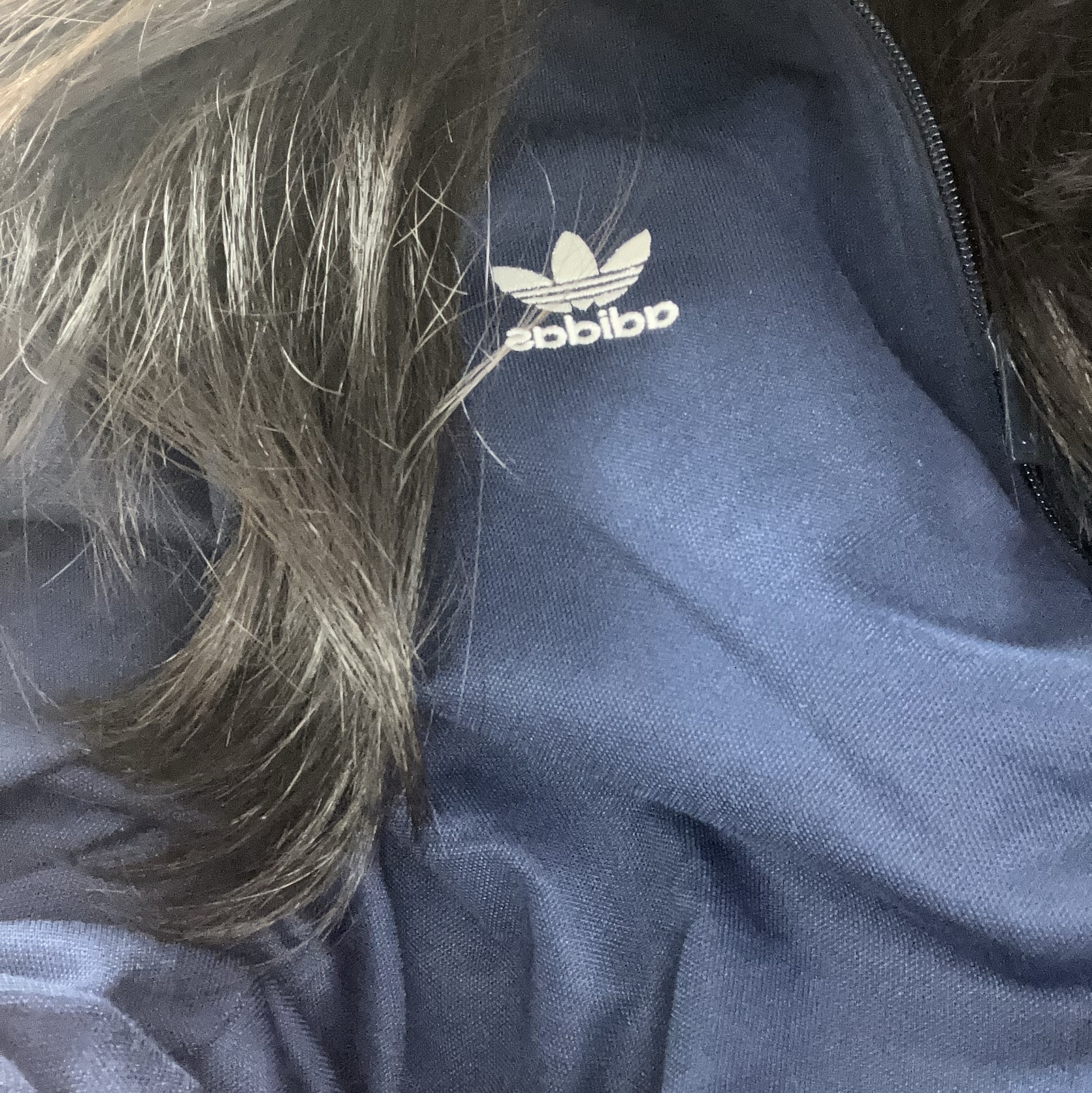 Adidas Adicolor Classic Beckenbauer Track Top Night Indigo - KR Sizing 착용 스타일 - 2