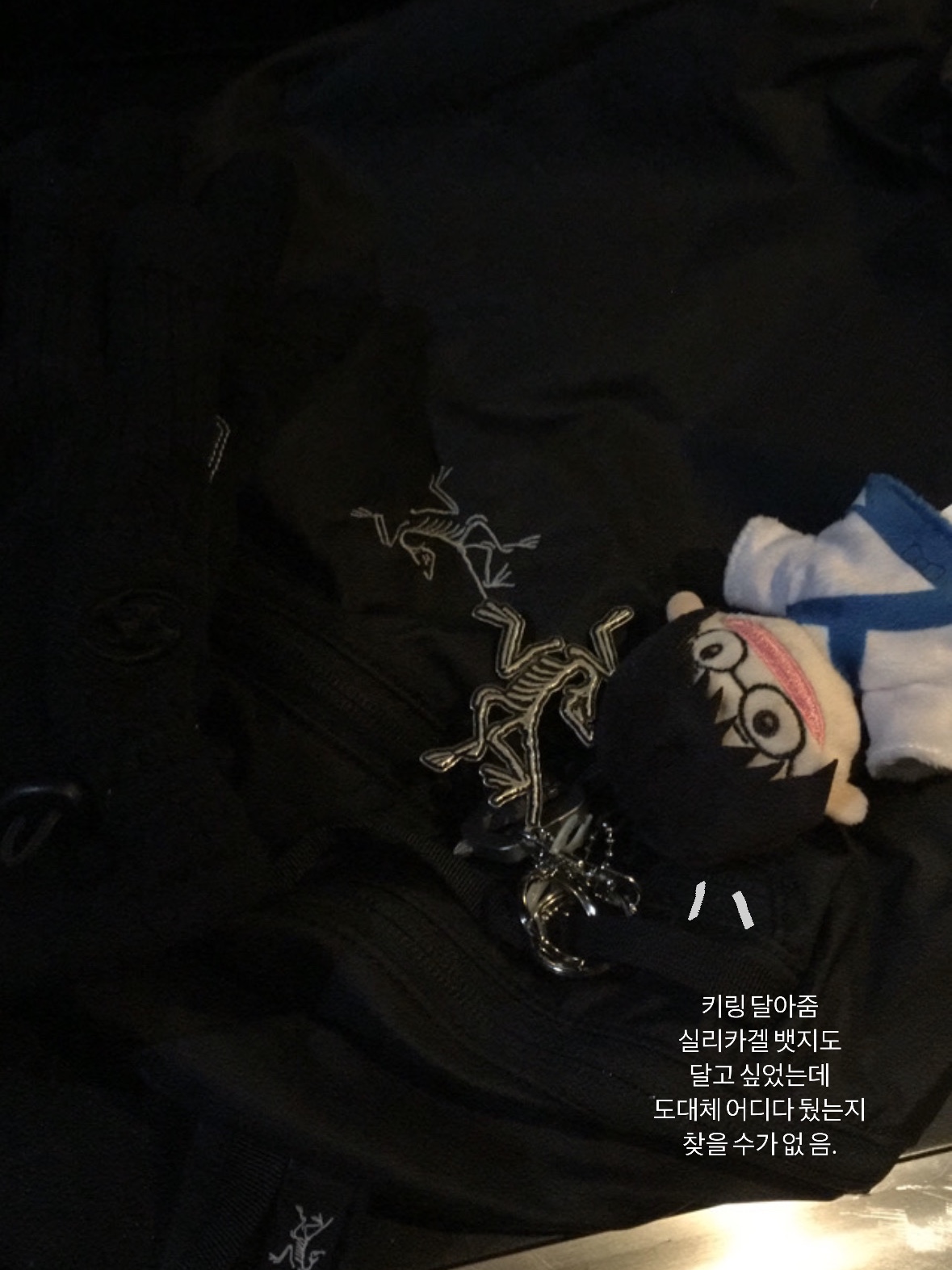 Arc'teryx Keyring Metal, Arc'teryx Heliad 15 Backpack Black 착용 스타일