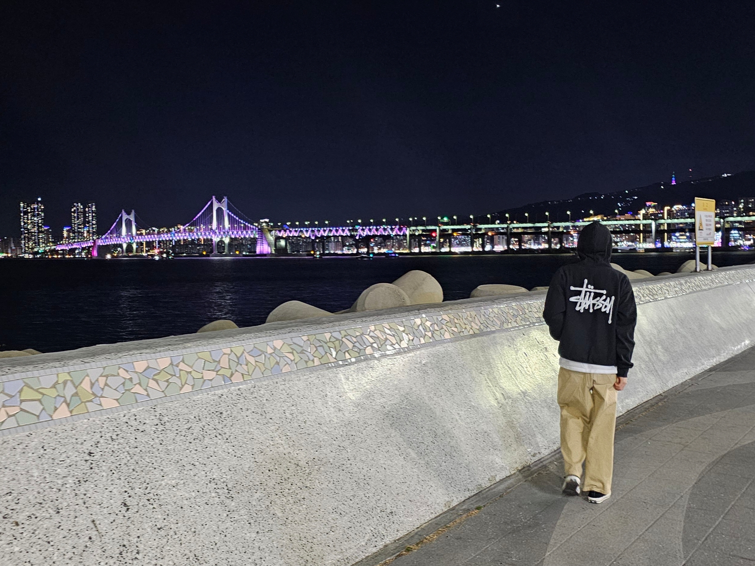 Stussy Basic Zip Hoodie Black 착용 스타일