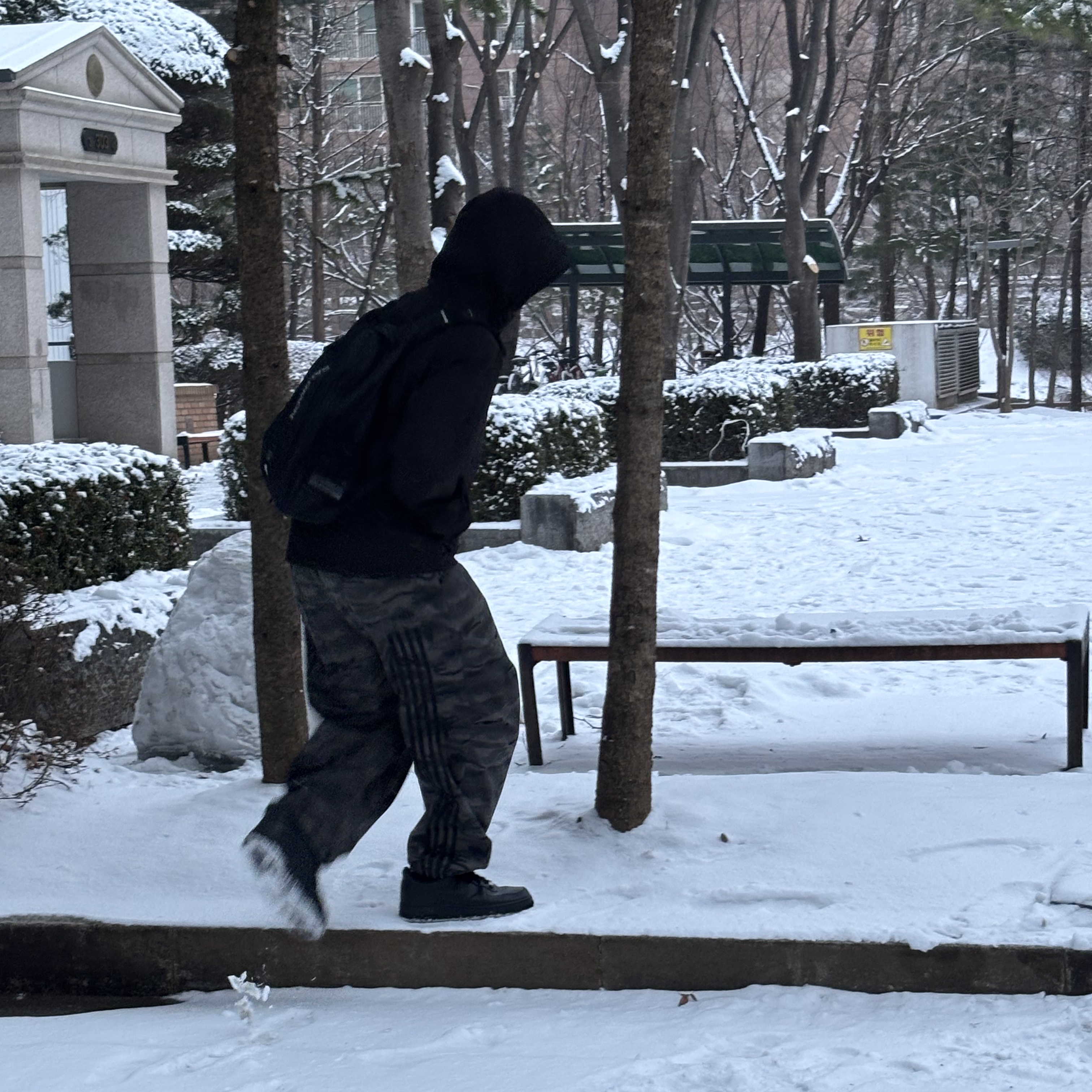 BP2DISORDER Two-Tuck Wide Pants Camo, Arc'teryx Atom Hoody Black 착용 스타일