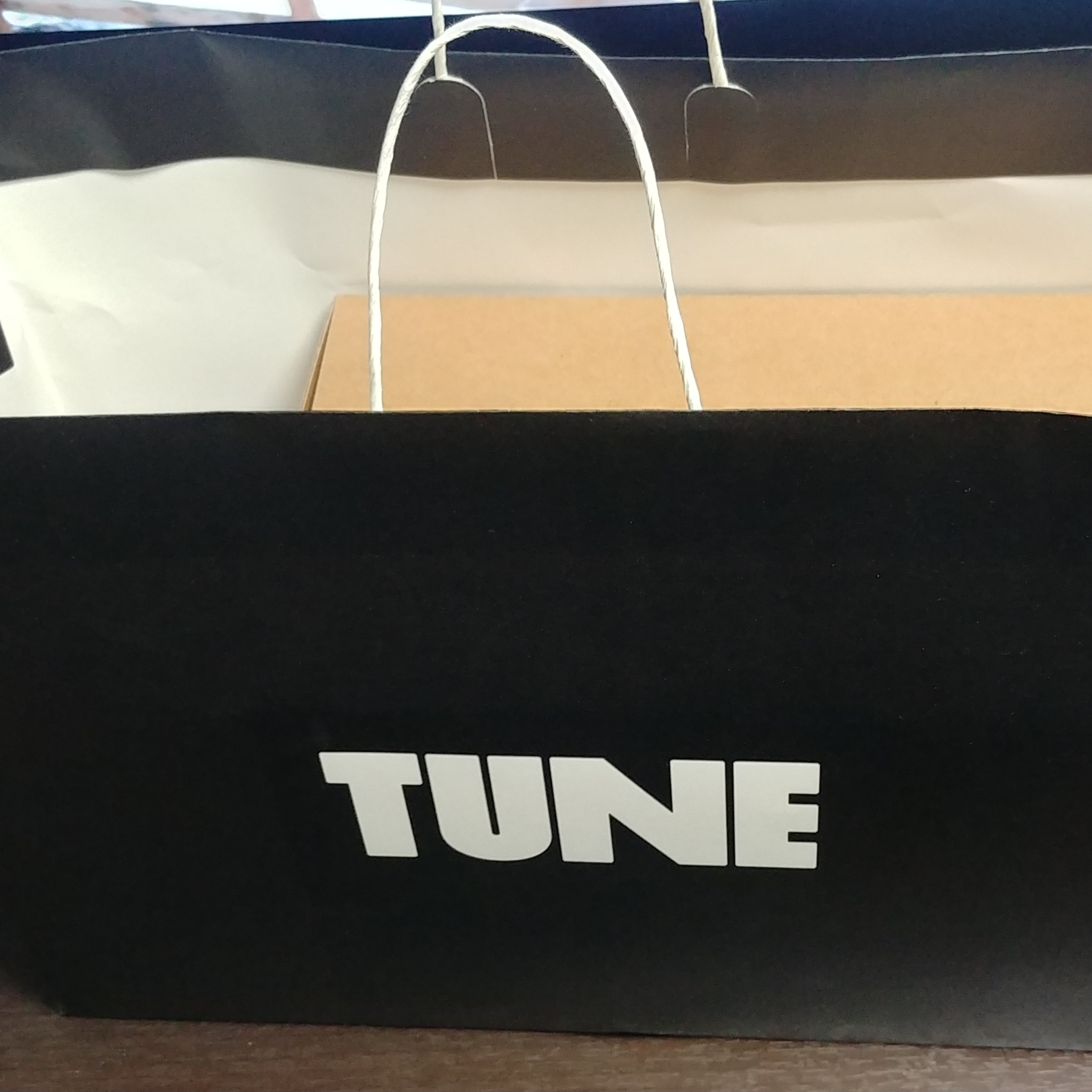 Jordan 1 x Tune High 85 Bred (Special Package), Jordan 1 High 85 Bred 착용 스타일 - 1