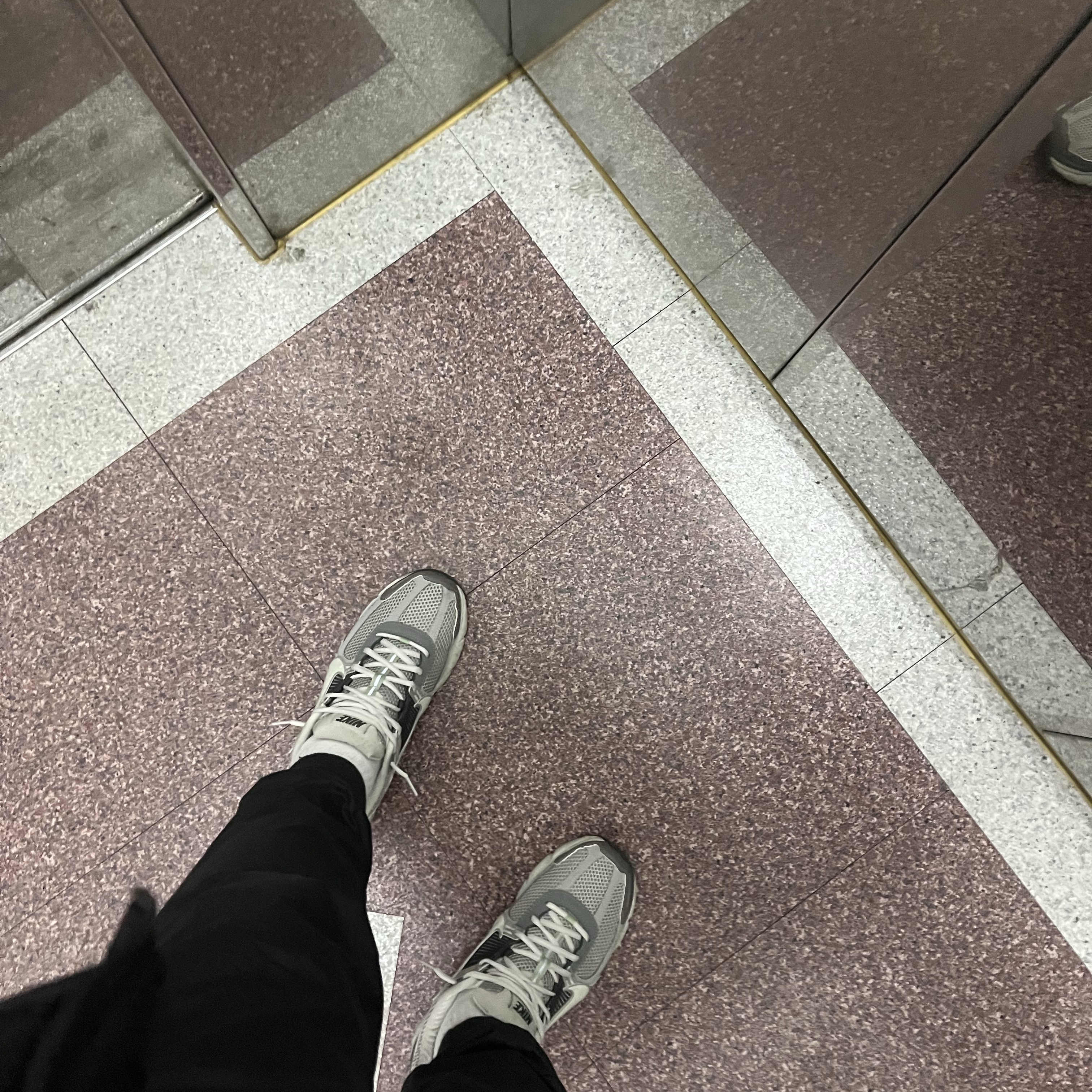 (W) Nike Zoom Vomero 5 Cobblestone and Flat Pewter 착용 스타일