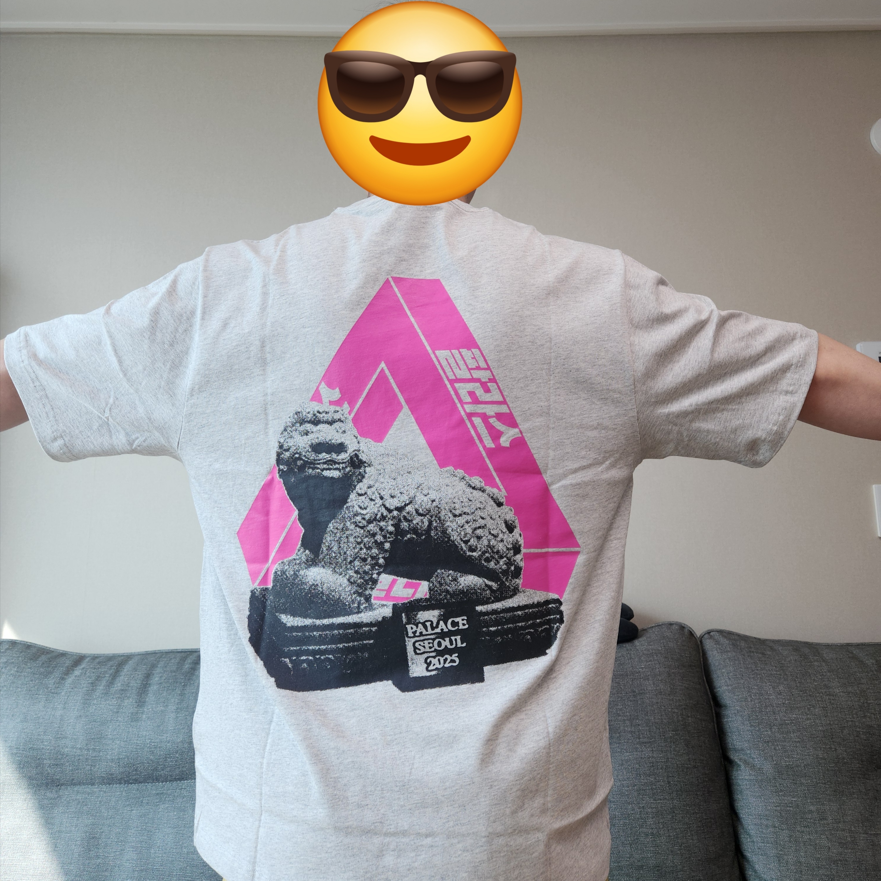Palace Seoul 2 Seoul Tri-Ferg T-Shirt Grey Marl - 25SS, Arc'teryx Heliad 15 Backpack Black 착용 스타일 - 2