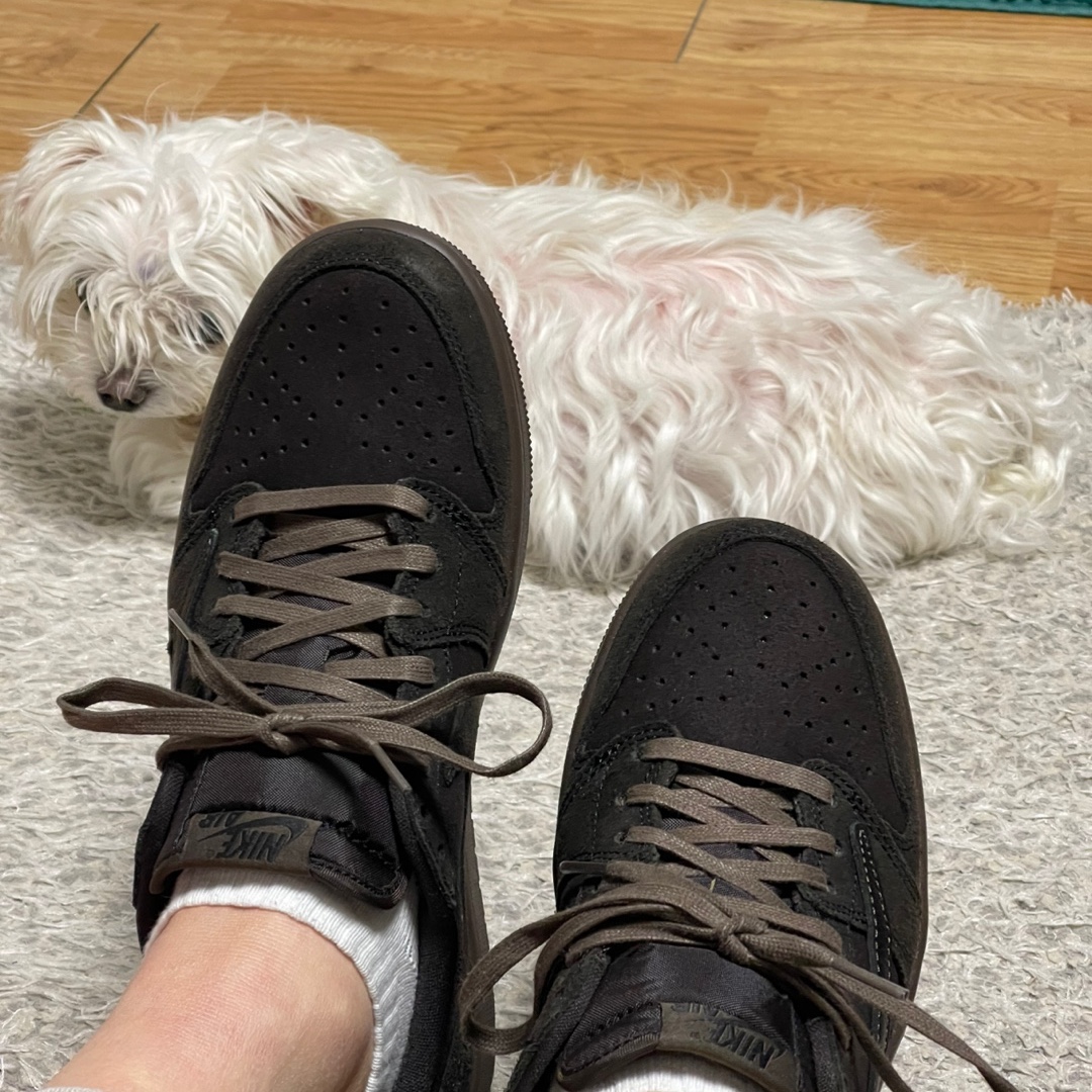 Jordan 1 x Travis Scott Retro Low OG SP Velvet Brown and Dark Mocha 착용 스타일 - 3