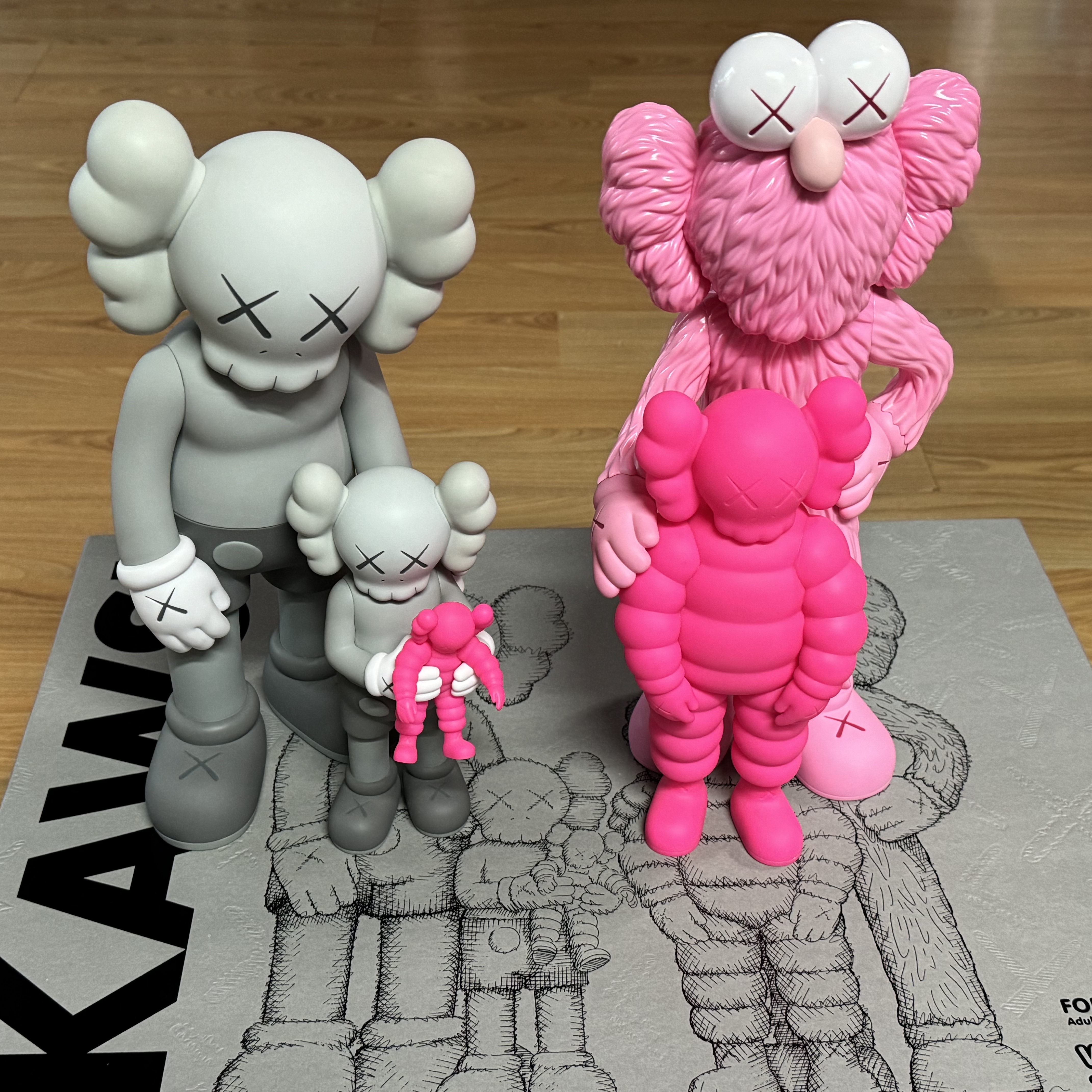 Kaws Family Vinyl Figure Grey Pink 착용 스타일