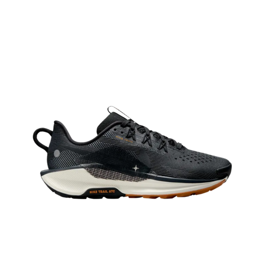 (W) Nike Pegasus Trail 5 Black Monarch