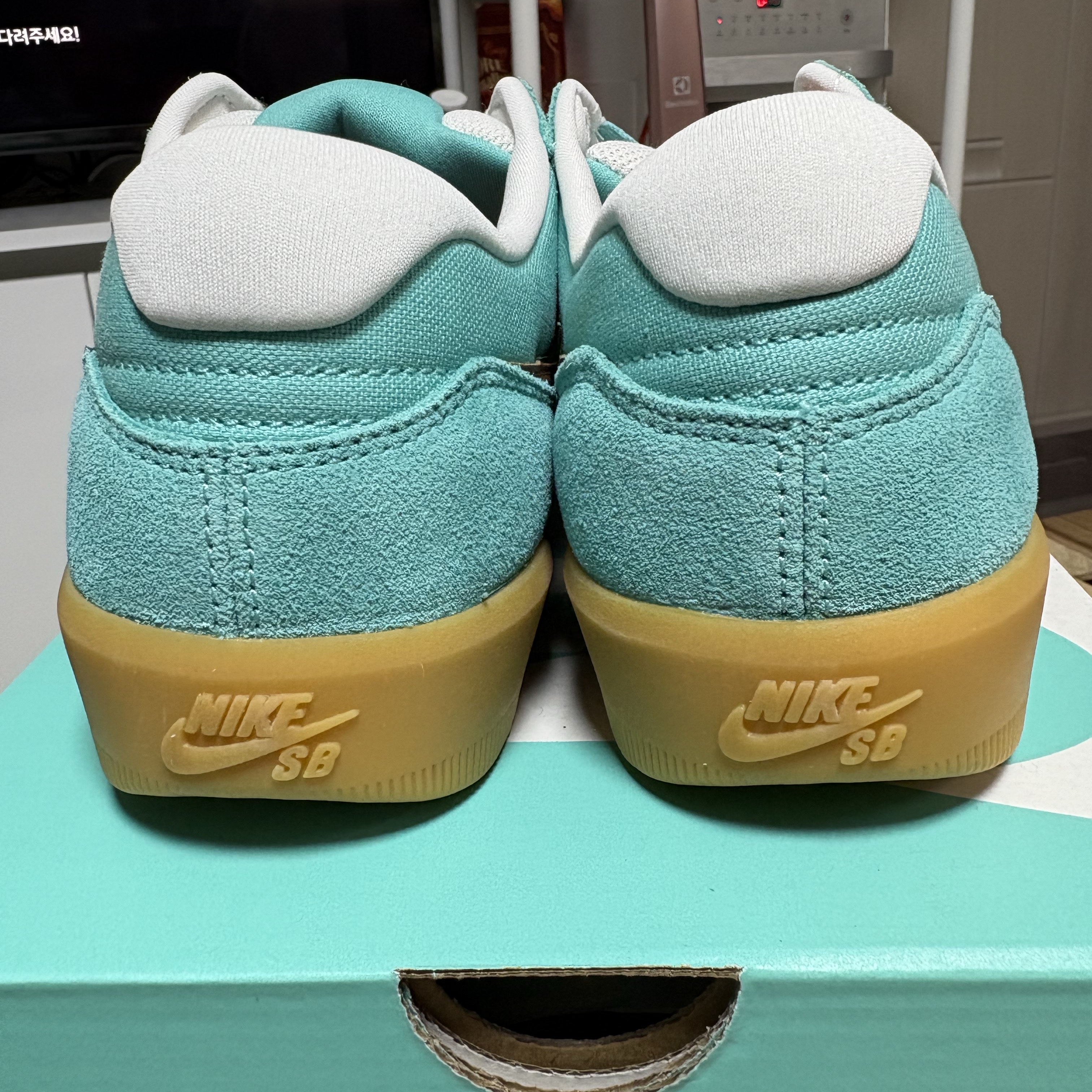 Nike SB Force 58 Green Frost Phantom 착용 스타일 - 5