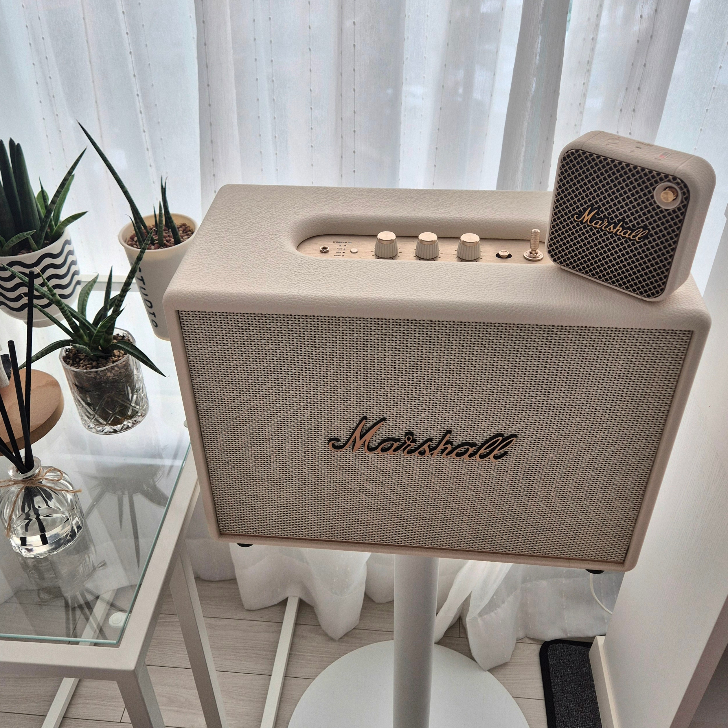 Marshall Kilburn II Black (Korean Ver.), Marshall Willen II Cream (Korean Ver.) 착용 스타일 - 2