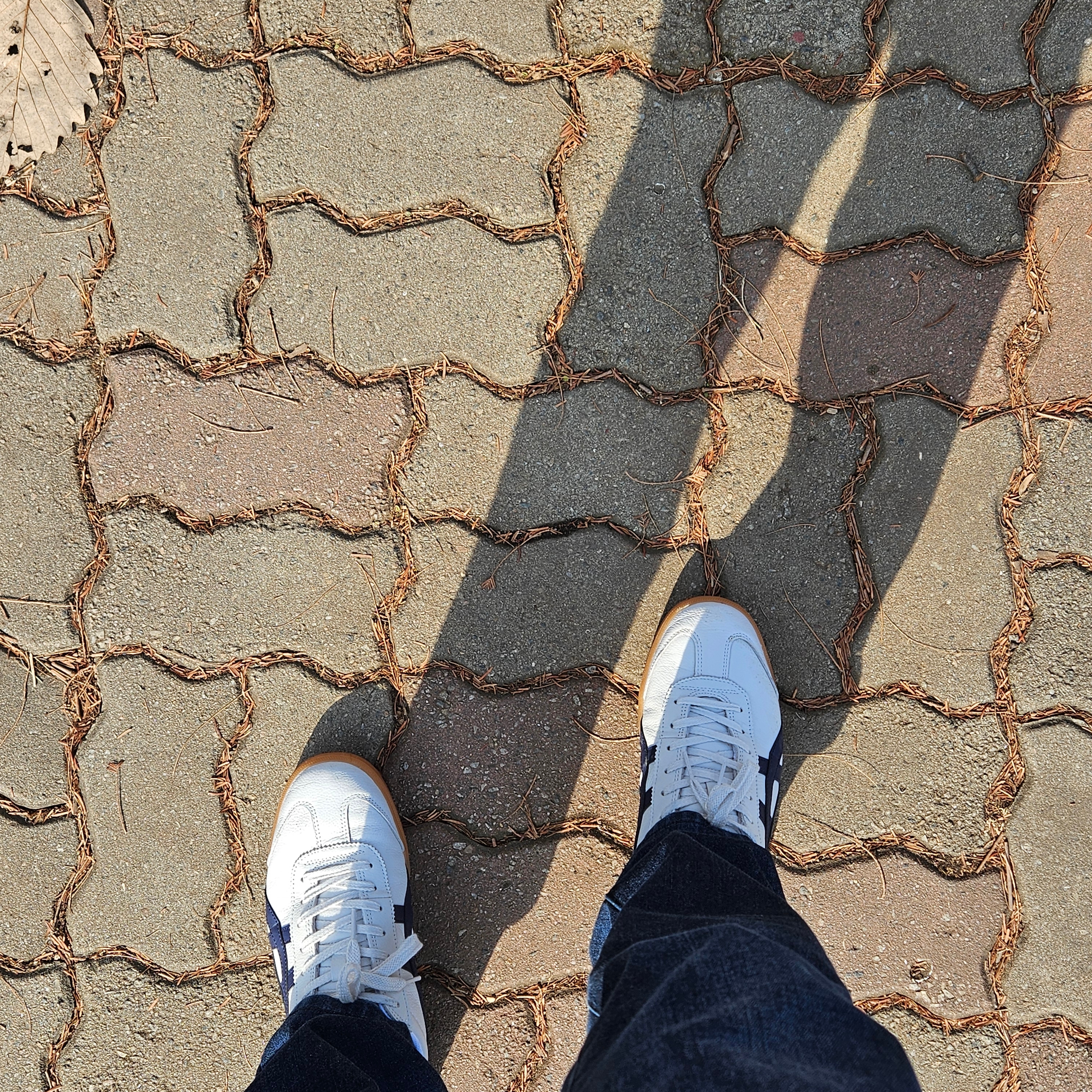 Onitsuka Tiger Tokuten White Navy 착용 스타일