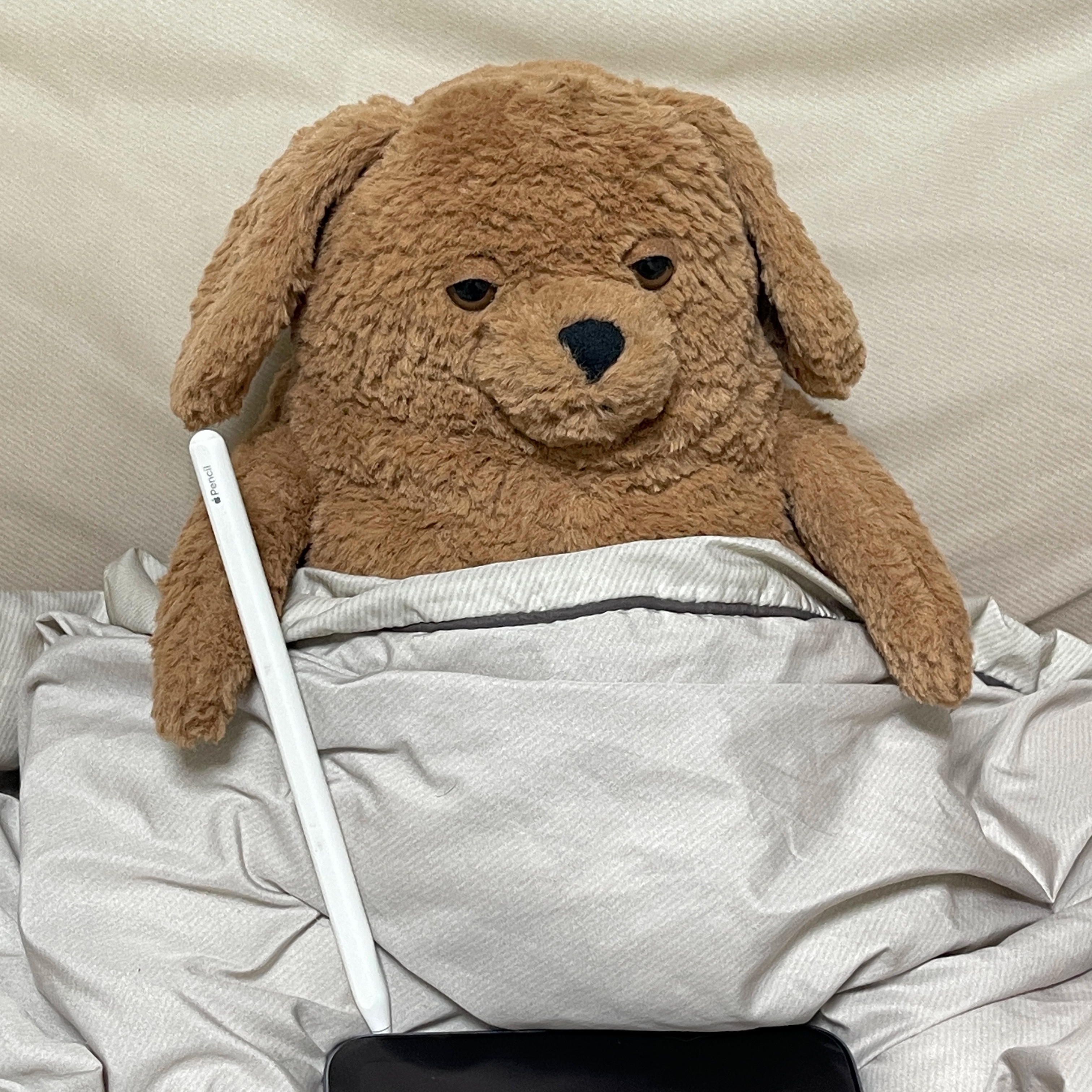 Jellycat Amore Dog Brown 착용 스타일 - 2