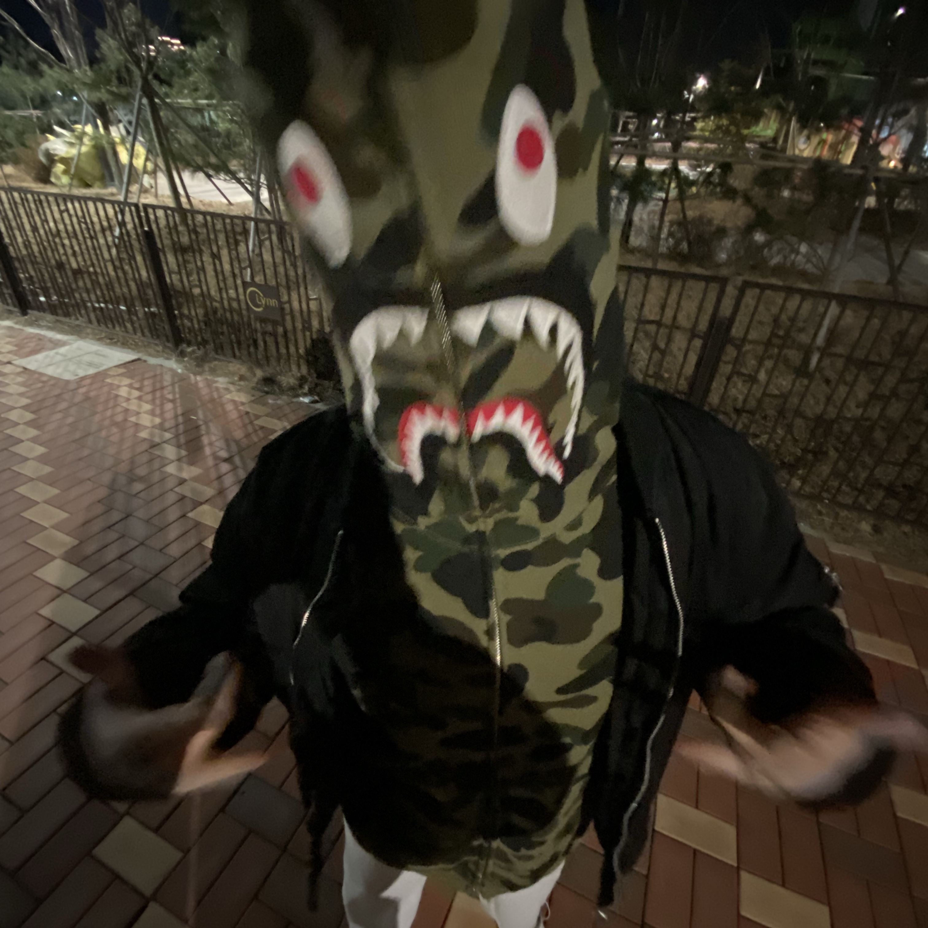 BAPE 1st Camo Shark Full Zip Hoodie Army Green 착용 스타일