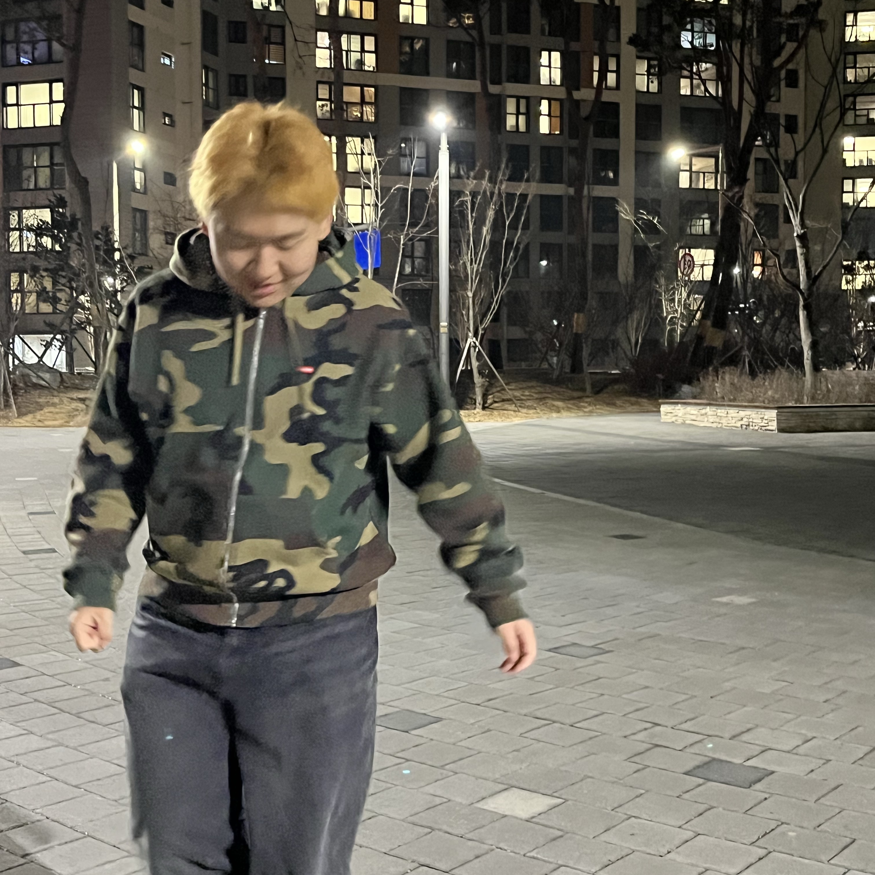 Supreme Small Box Zip Up Hooded Sweatshirt Woodland Camo - 24FW 착용 스타일 - 1