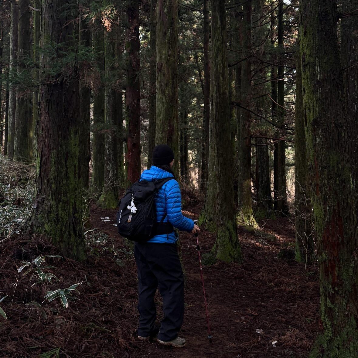 Rab Microlight Alpine Jacket Maya Blue, Salomon Trailblazer 30 Black 착용 스타일