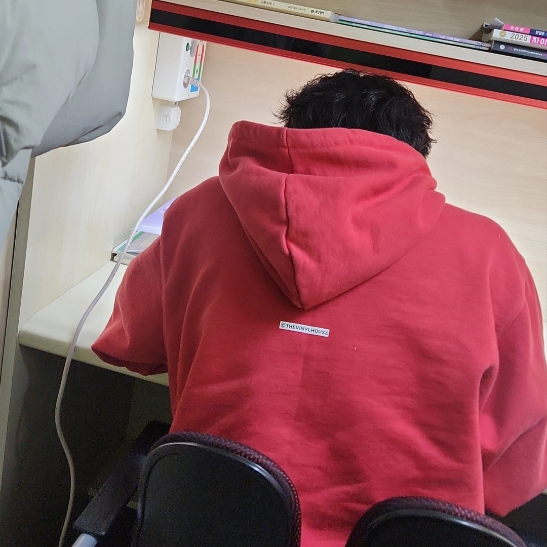 [KREAM 단독] Thevinylhouse Satan Voice Hoodie Red 착용 스타일