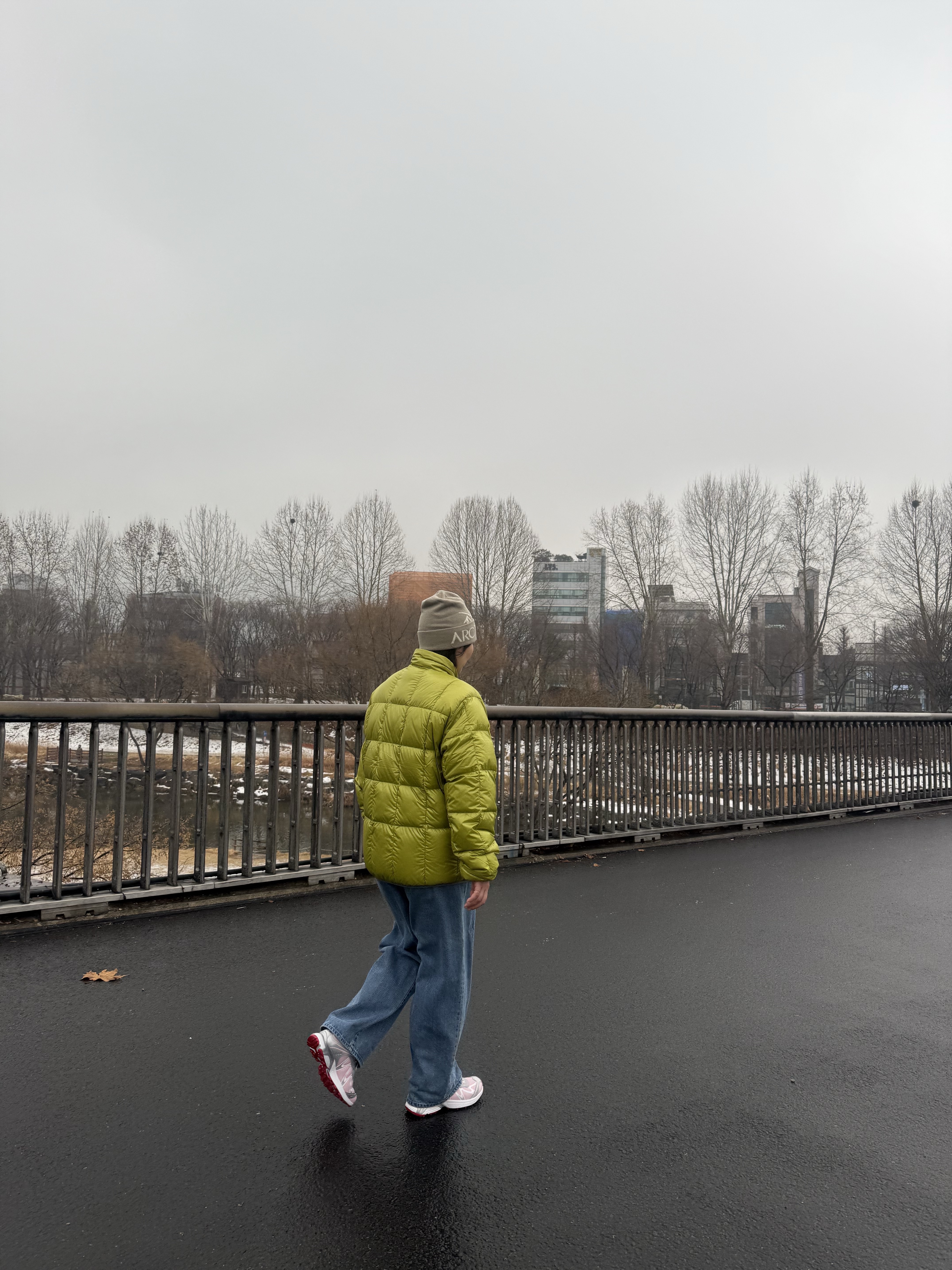 Thisisneverthat Pertex Light Down Jacket Olive Yellow, Arc'teryx Bird Word Toque Rune Arctic Silk 착용 스타일 - 2