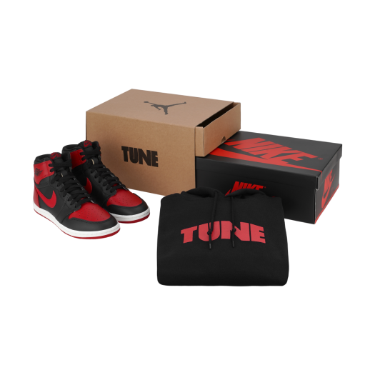 Jordan 1 x Tune High 85 Bred (Special Package)