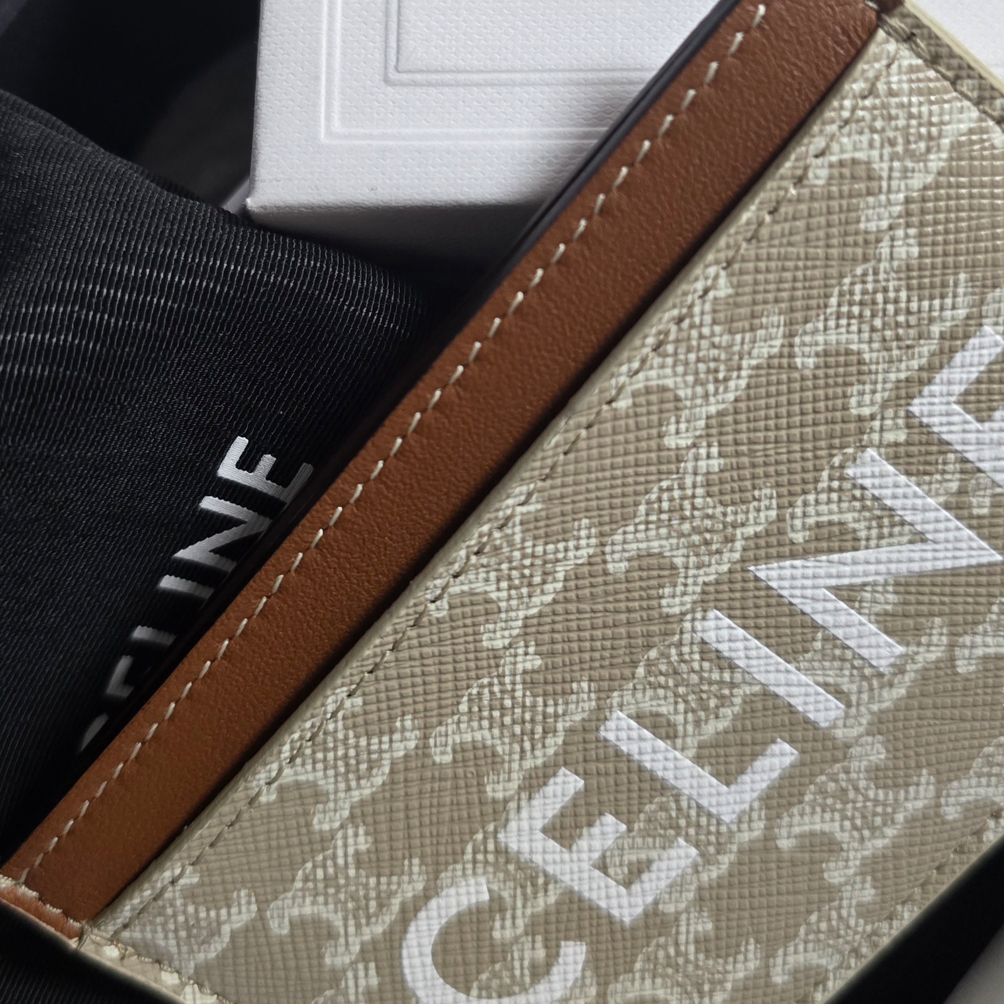 Celine Card Holder in Triomphe Canvas with Celine Print Grege 착용 스타일