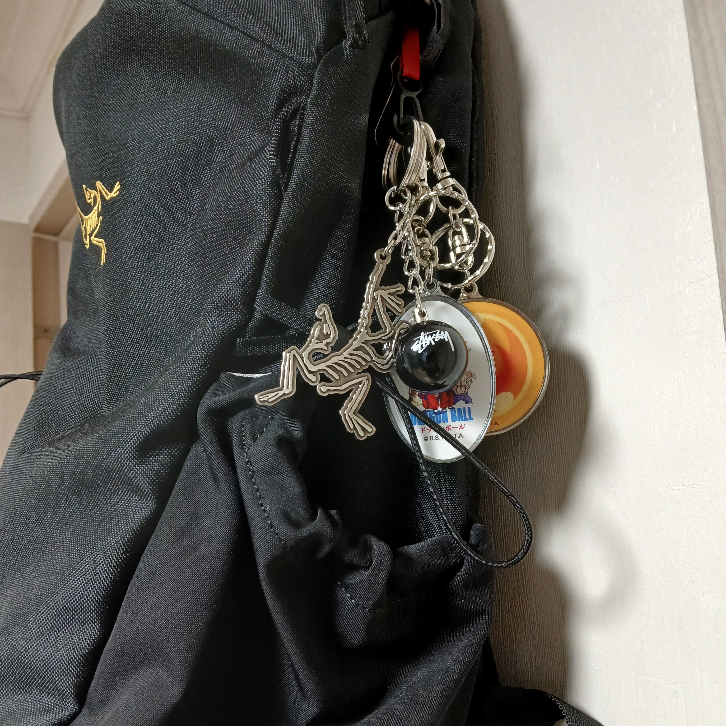 Arc'teryx Keyring Metal, DB Graphic Metal Keyring Ball 착용 스타일