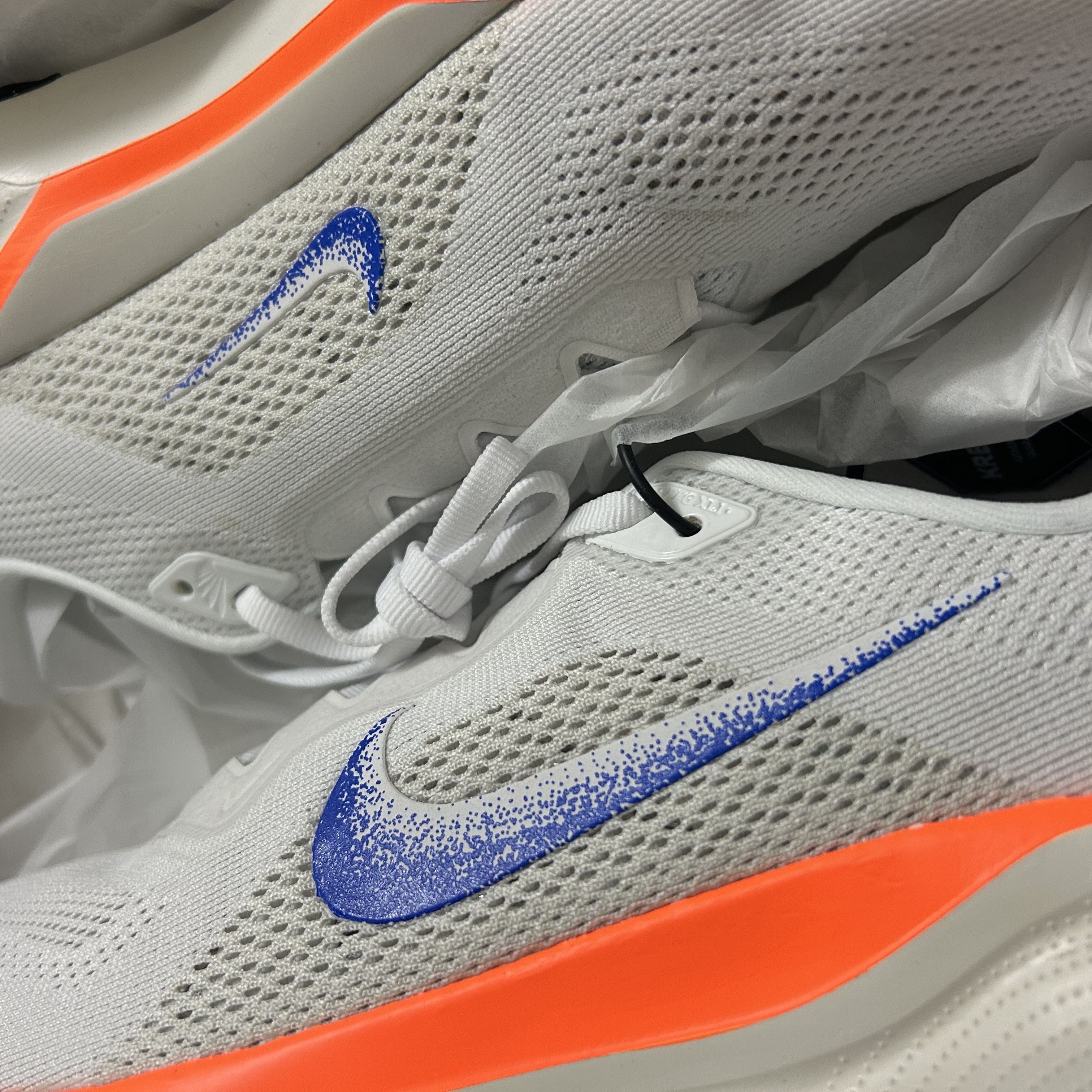 Nike Air Zoom Pegasus 41 Blueprint 착용 스타일