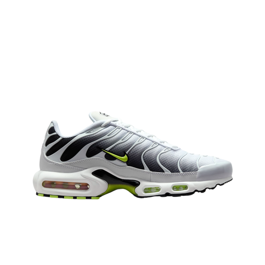 Nike Air Max Plus White Black