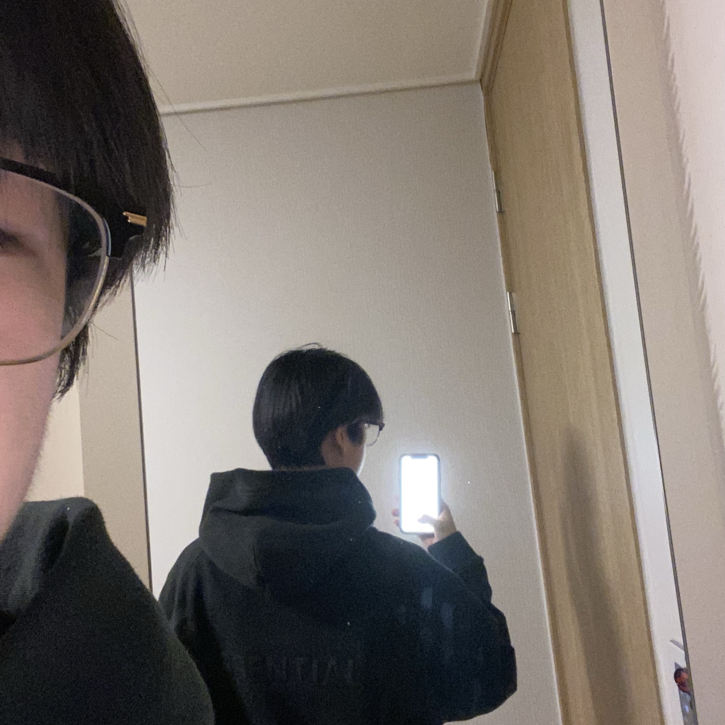 Essentials Pull-Over Hoodie Black - 21SS, Nike ACG Therma-Fit ADV Rope De Dope Jacket Moon Fossil - Asia 착용 스타일 - 1