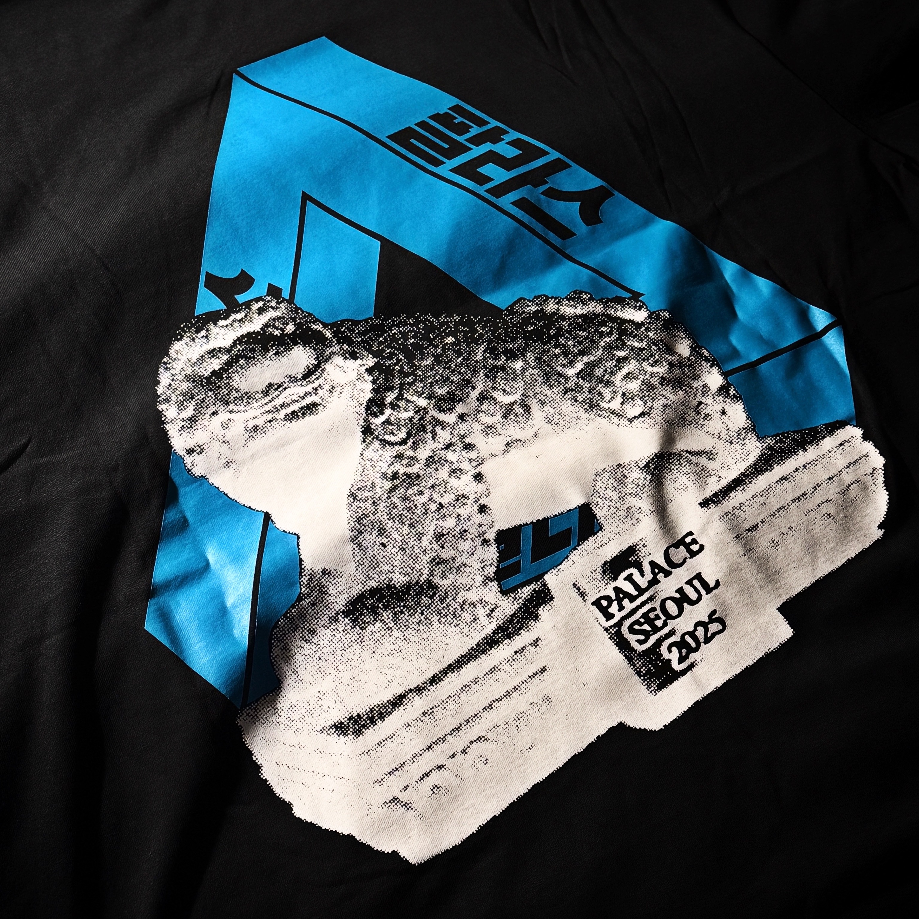 Palace Seoul 2 Seoul Tri-Ferg T-Shirt Black - 25SS 착용 스타일