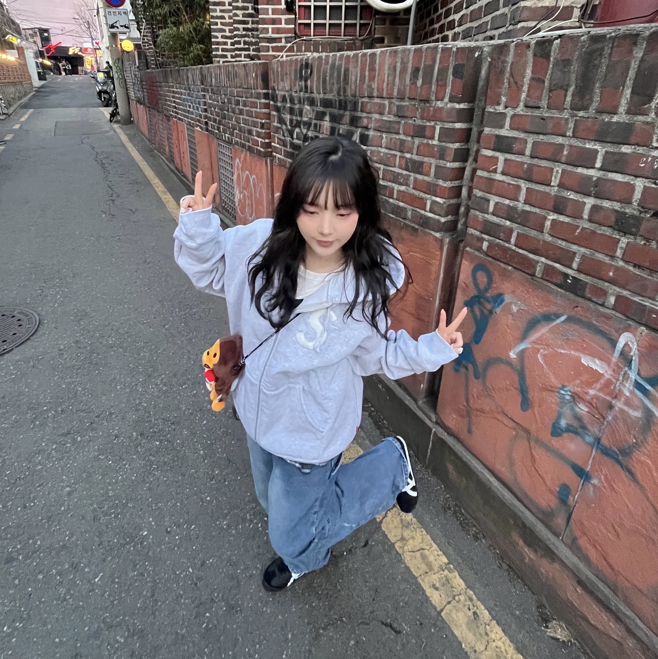 Supreme S Logo Zip Up Hooded Sweatshirt Ash Grey - 24FW, BAPE Baby Milo Plush Mobile Bag Brown 착용 스타일 - 2